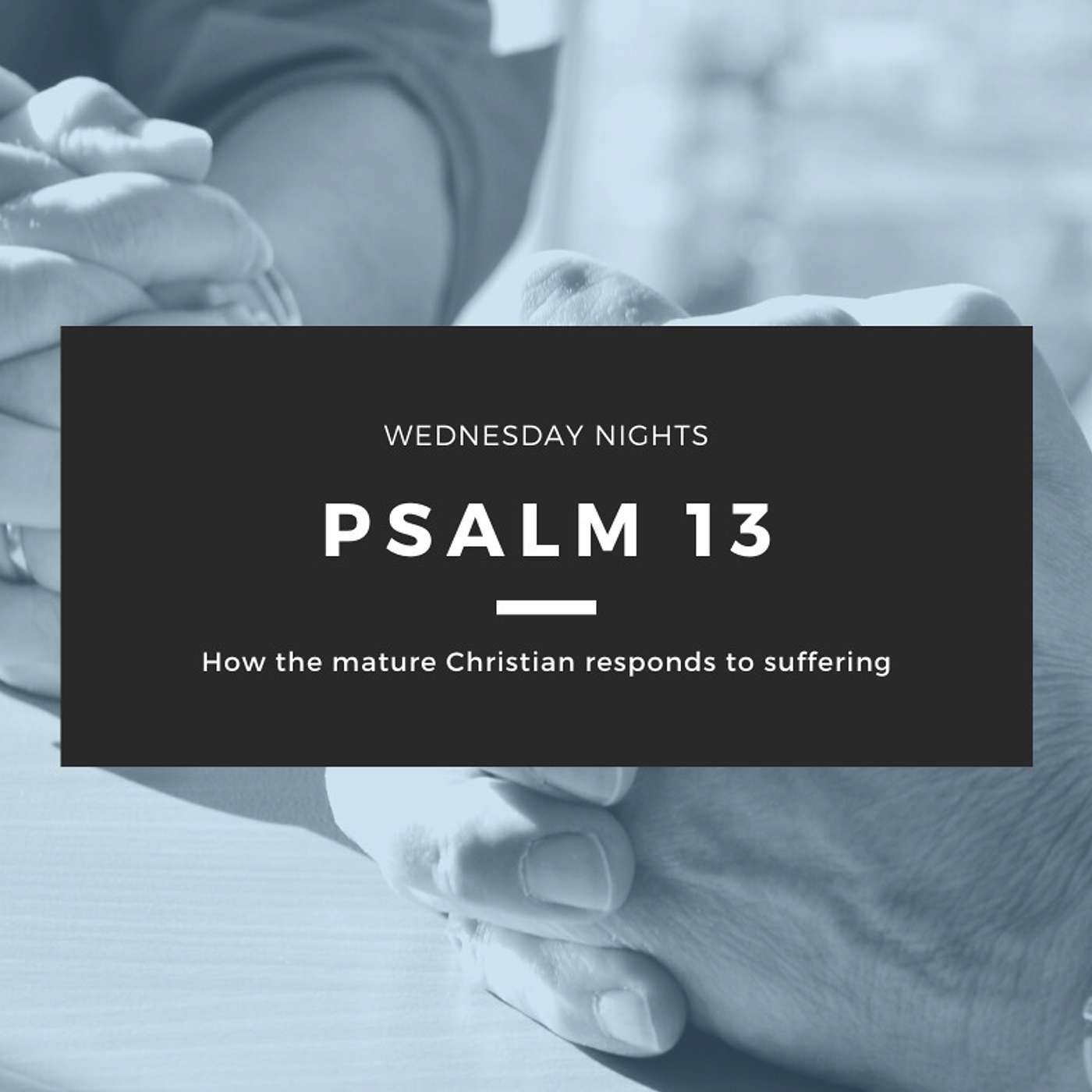 Psalm 13 - Kim at Goldings. episode artwork