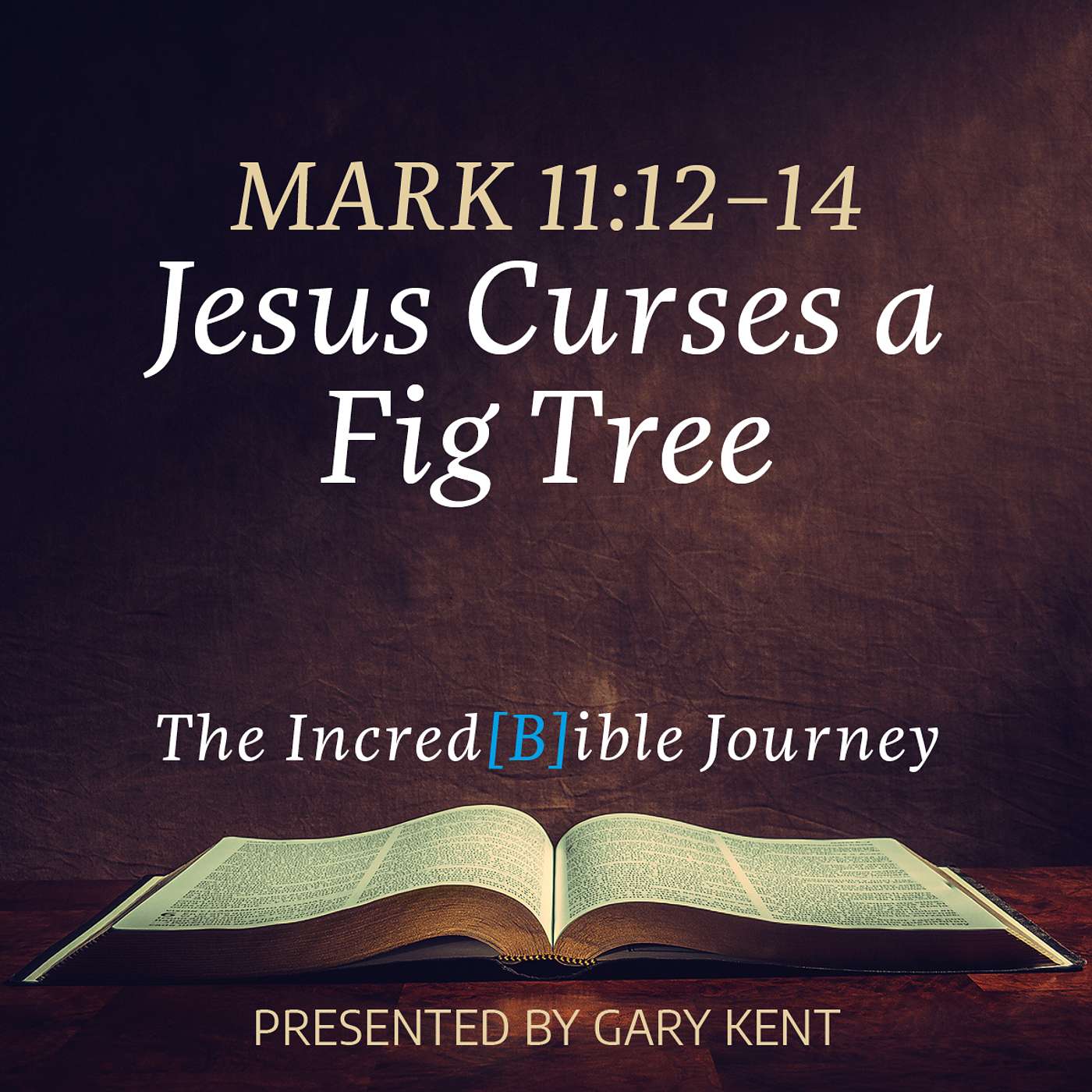 Journey through the Book of Mark