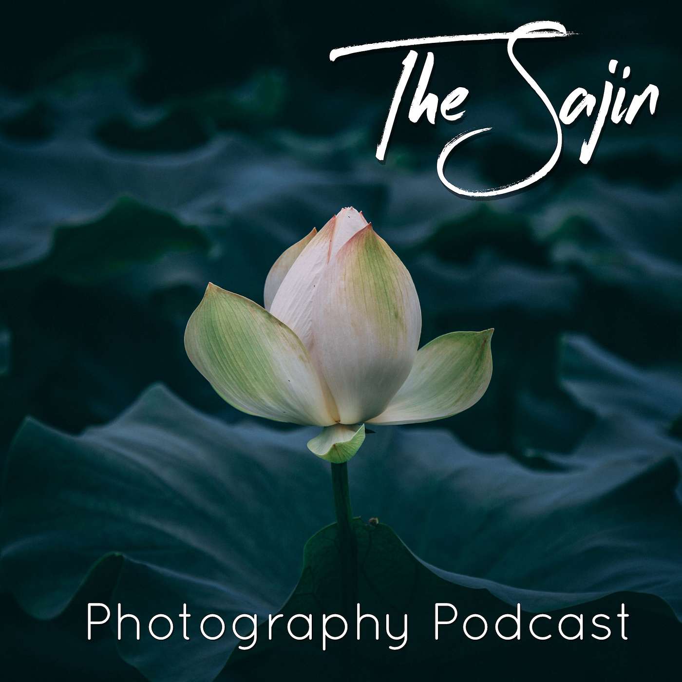 Season 3 - Episode 7: Getting a Little Zen