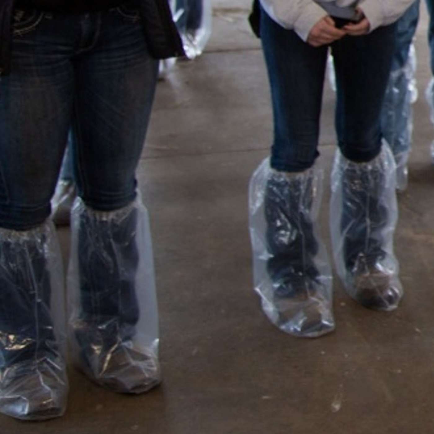 The Barnyard Broadcast