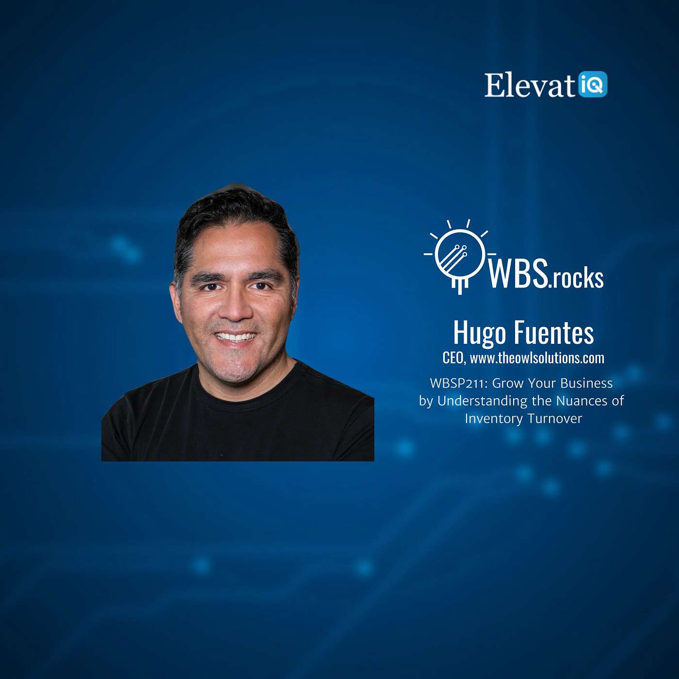 WBSP211: Grow Your Business by Understanding the Nuances of Inventory Turnover w/ Hugo Fuentes