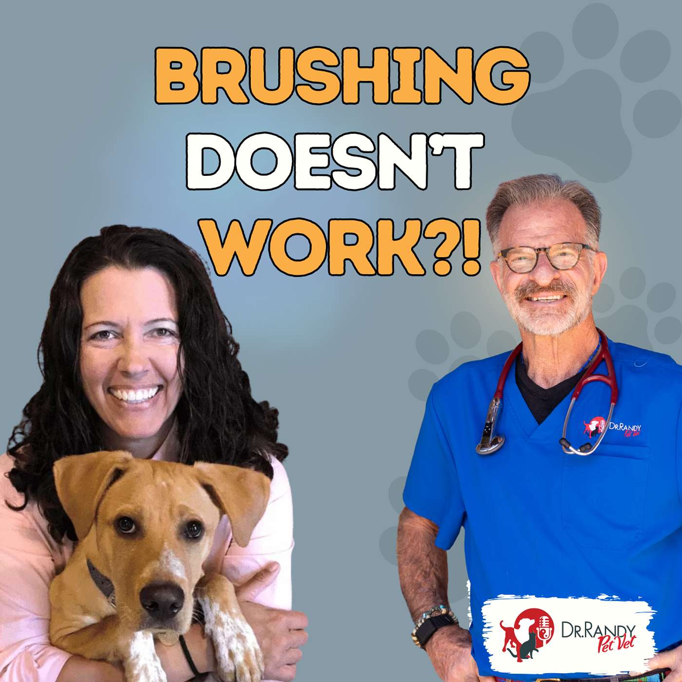 Stop Brushing Your Pet's Teeth? Microbiologist Reveals What Actually Works | Dr. Emily Stein
