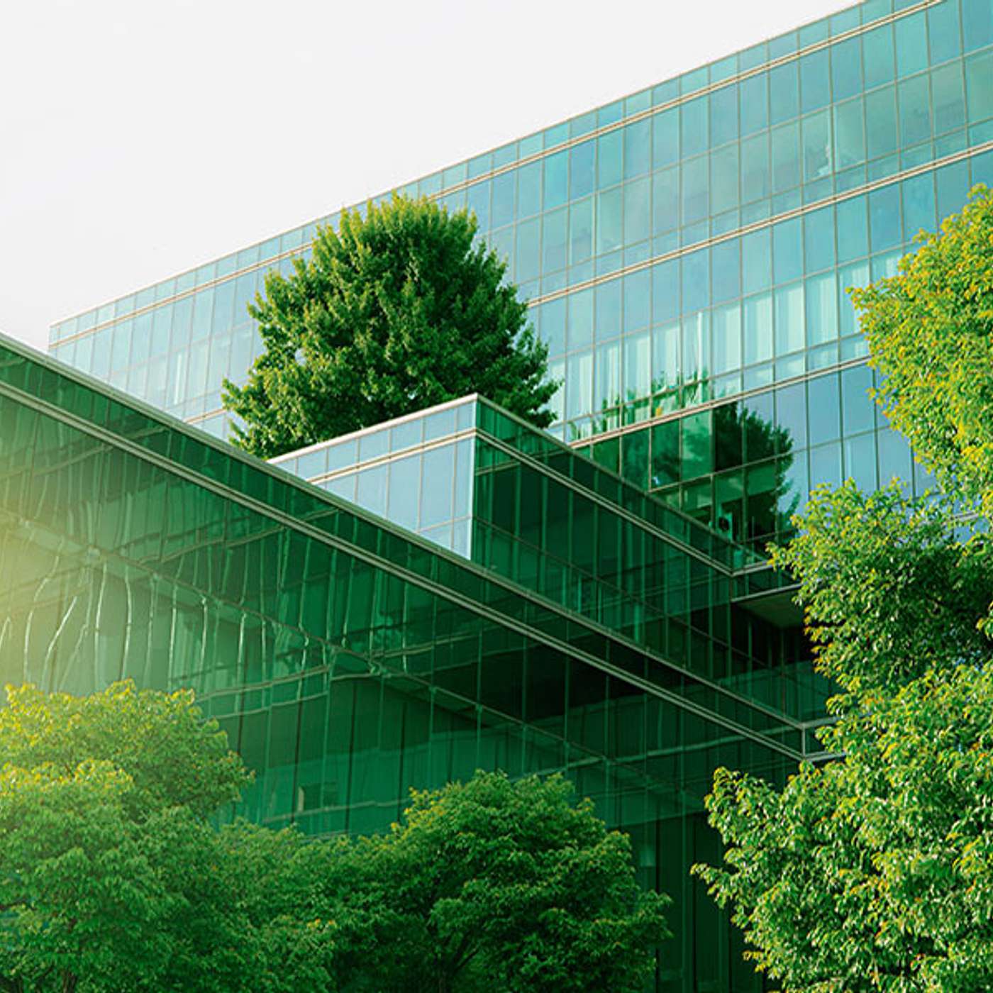 Environmental, Social and Governance Initiatives: What That Means for Your Organization Environmental, Social and Governance Initiatives: What That Means for Your Organization