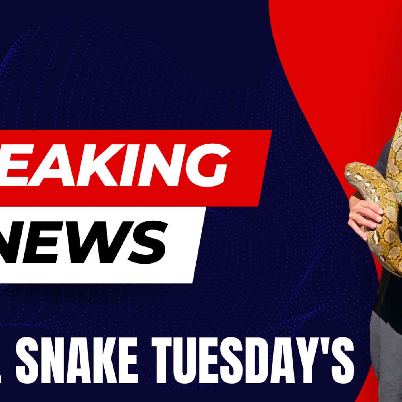 Why MJ & his SD Retic projects are no longer | P.H.A.T. Snake Tuesday's