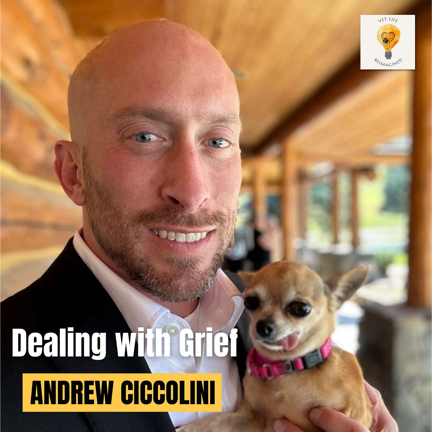 The "Okay Vet" - From Military Service to Dealing with Grief (with Andrew Ciccolini) episode artwork