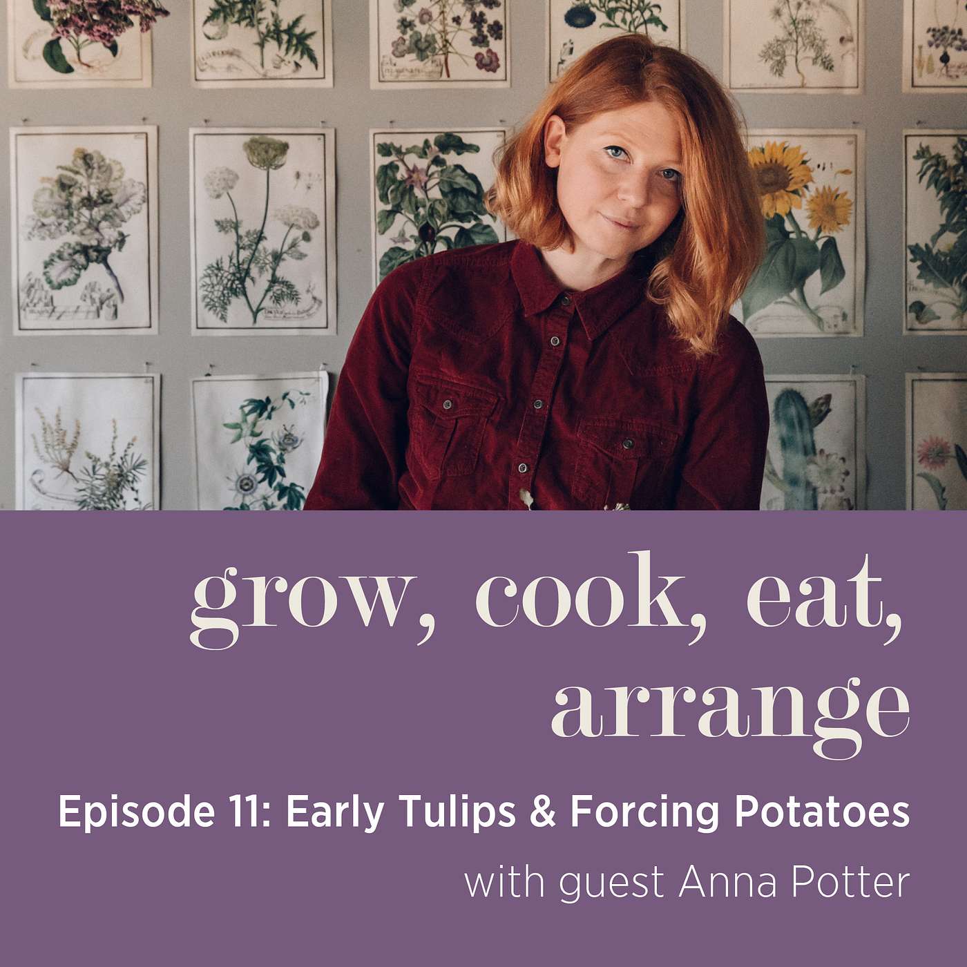 cover of episode Early Tulips & Forcing Potatoes with Swallows & Damsons', Anna Potter - Episode 11