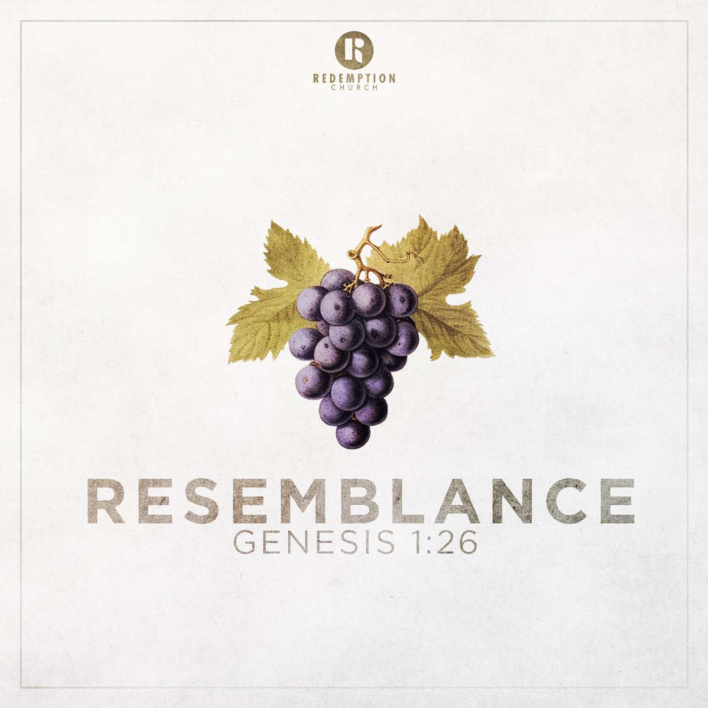 8/10/25 - Genesis 1:26: Resemblance - Steve Gee