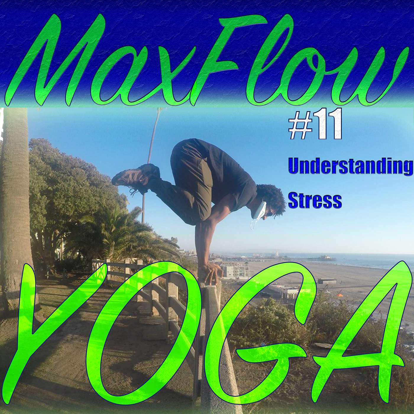 Understanding Stress by BKS Iyengar, Maxflowyoga 4 minute mental vinyasa yoga