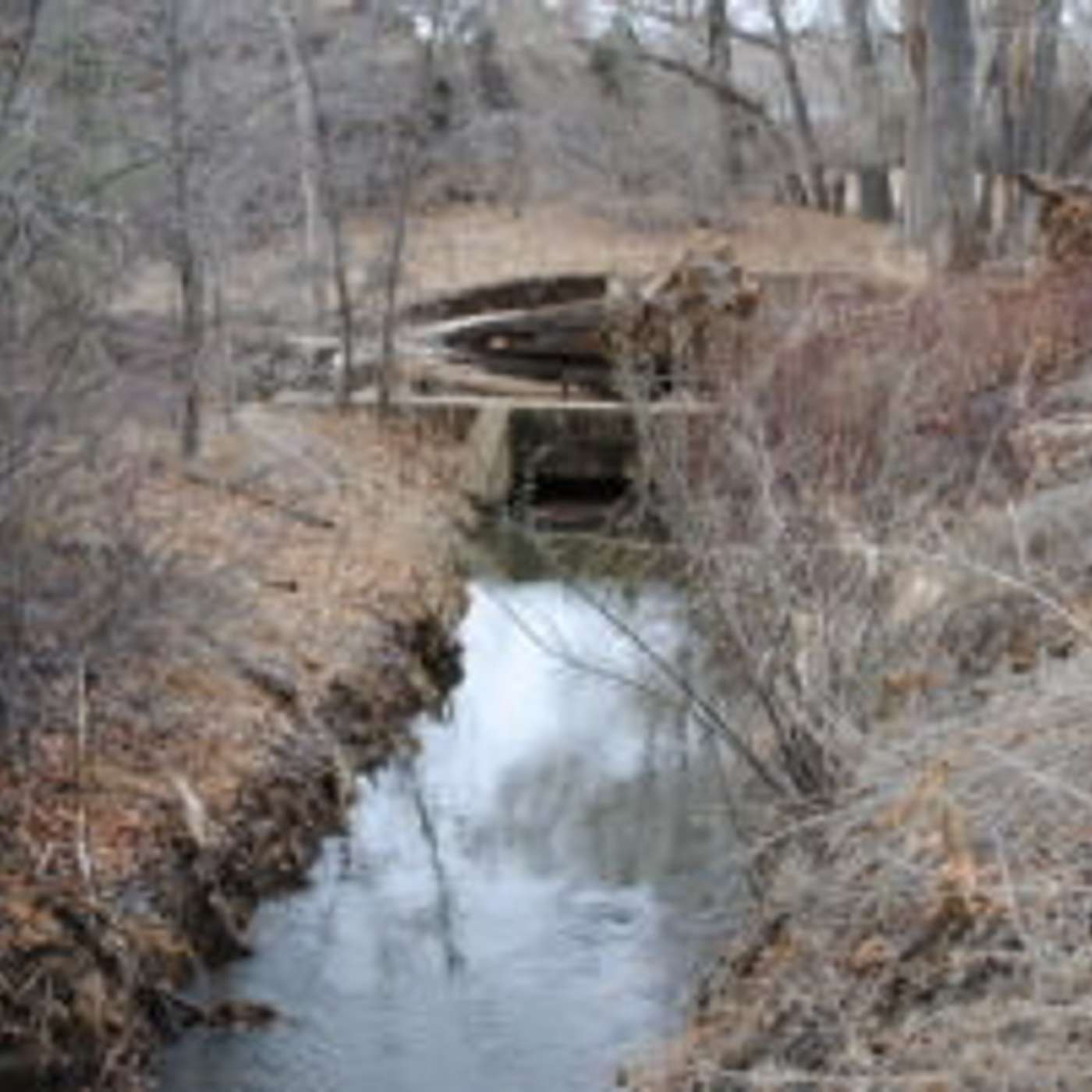 Engineering Abundance in a Water-Scarce Arizona