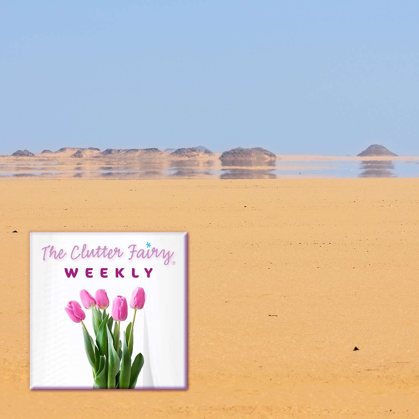 When the World Confounds Expectations, Declutter Your Expectations - The Clutter Fairy Weekly #309 episode artwork