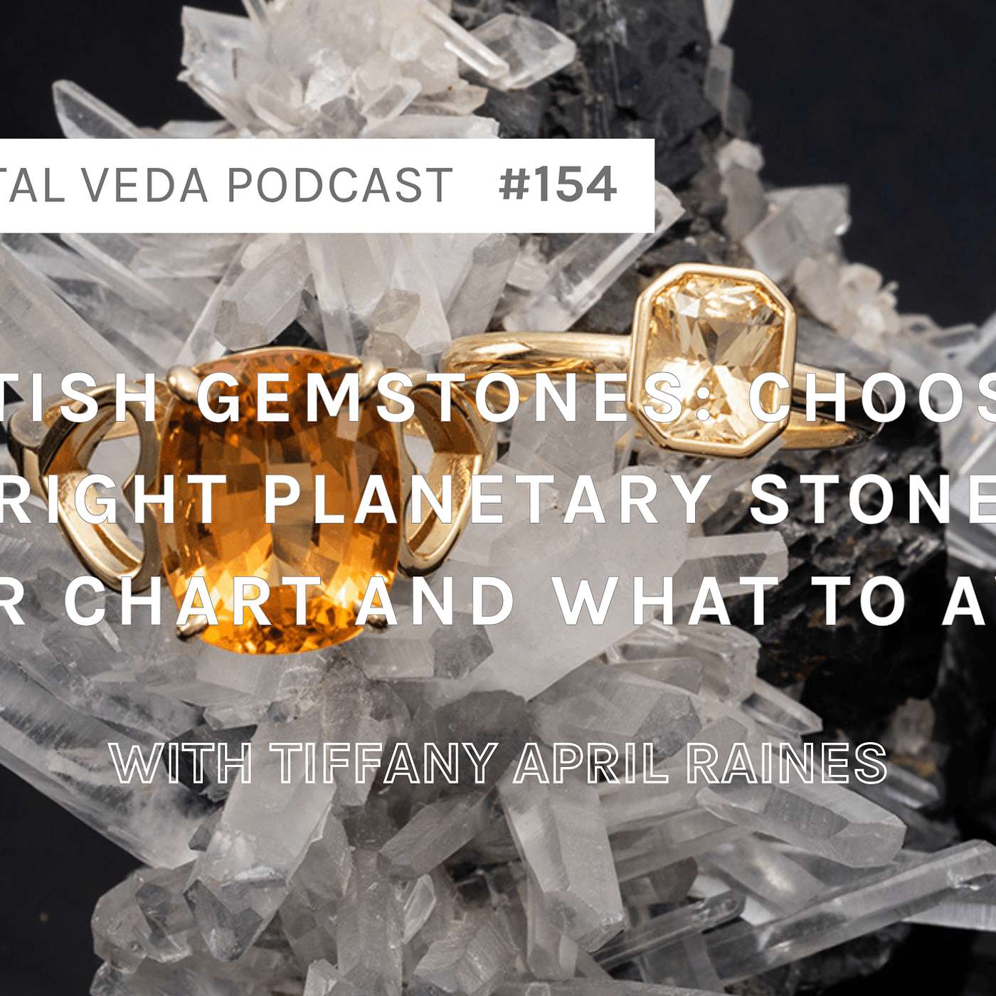 The Vital Veda Podcast: Ayurveda | Vedic Wisdom | Holistic Health & Natural Healing