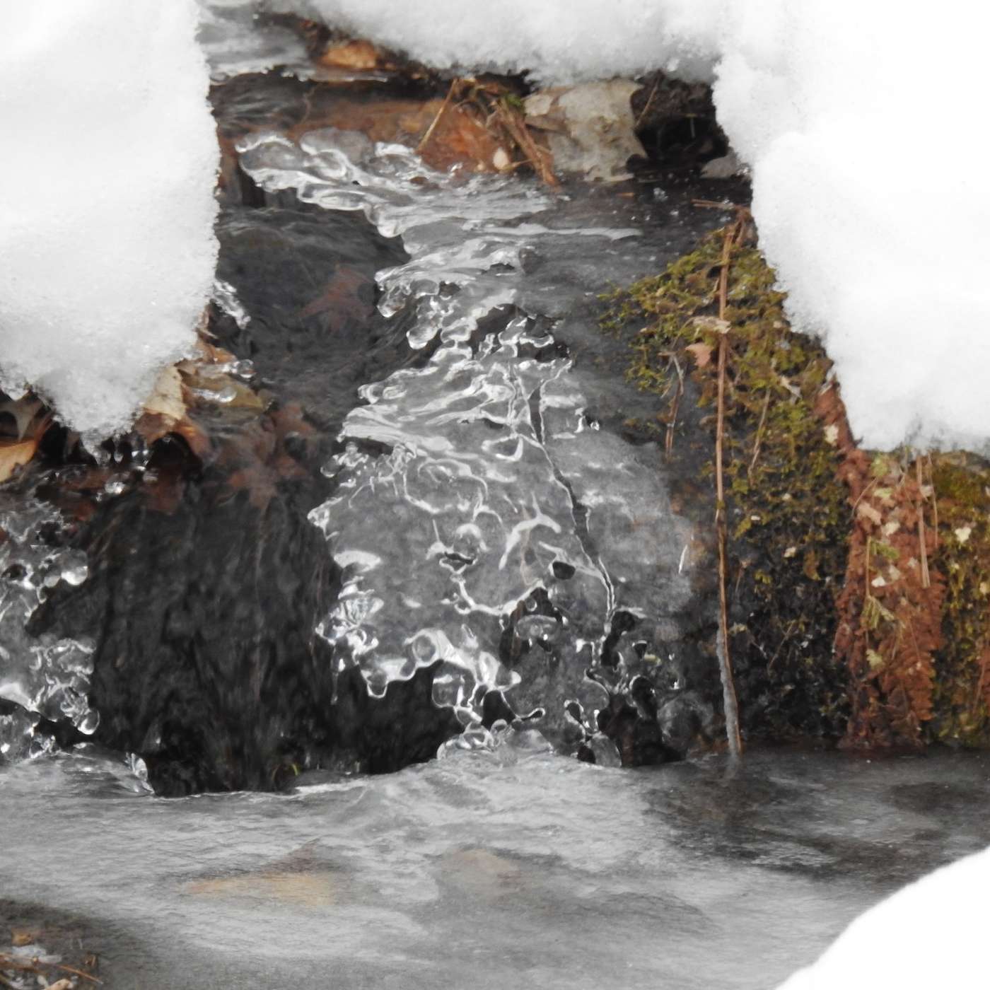 ICY LACE