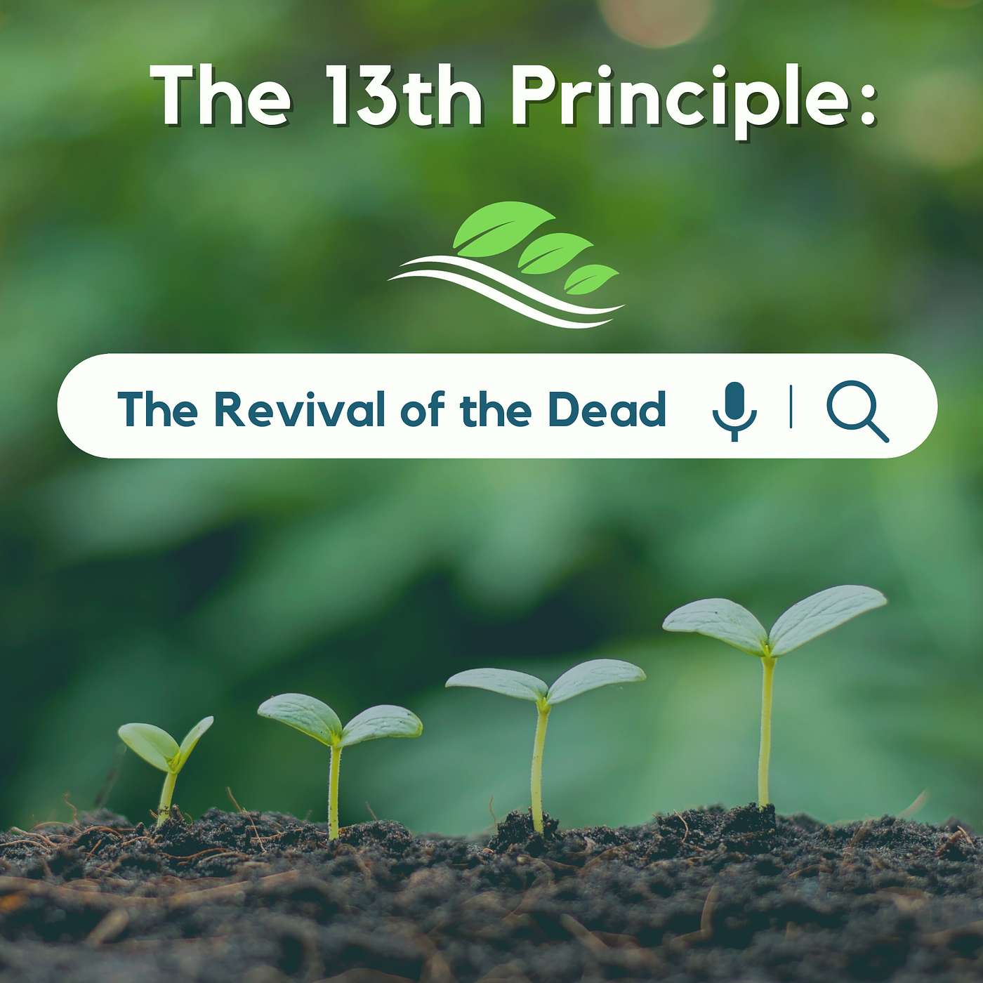 Principle 13: You DON'T Only Live Once!