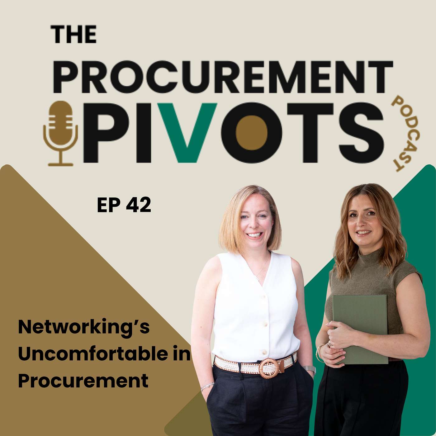 EP 42: When Did Networking Become So Uncomfortable in Procurement Careers? episode artwork