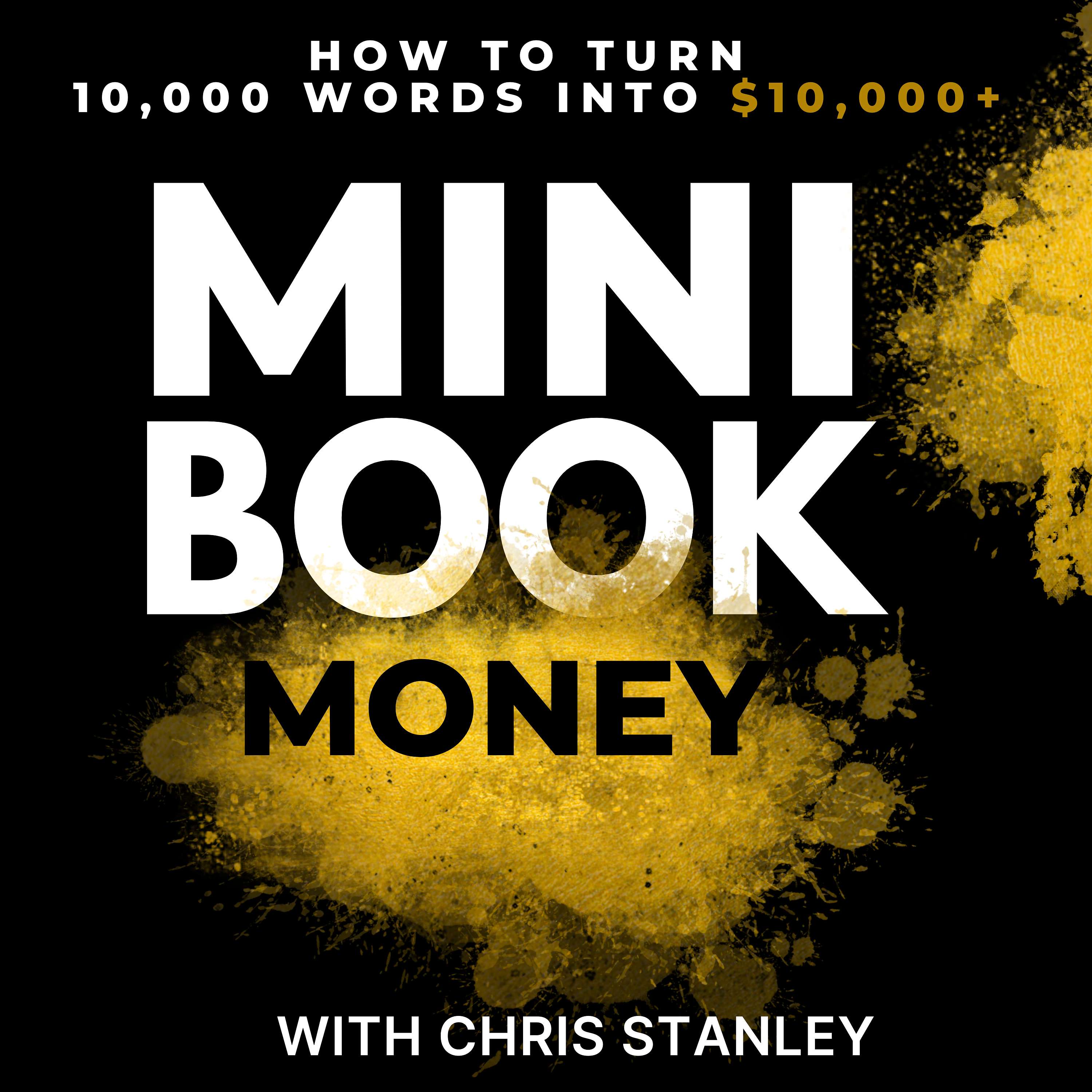 Mini Book Money
