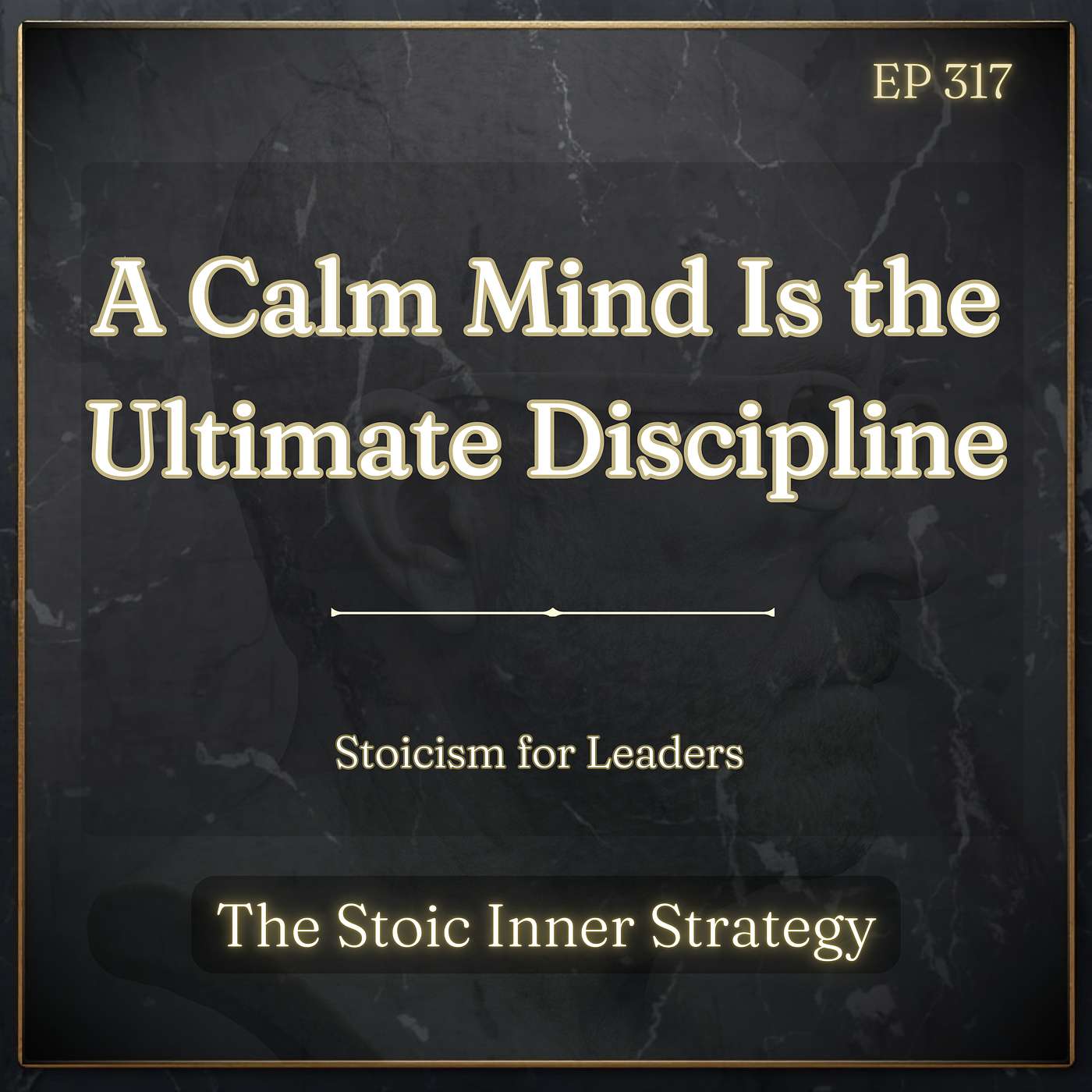 Ep 317 – A Calm Mind Is the Ultimate Discipline episode artwork