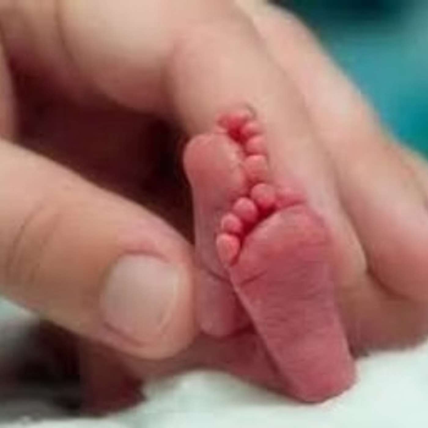 Prolife Kitchen Table