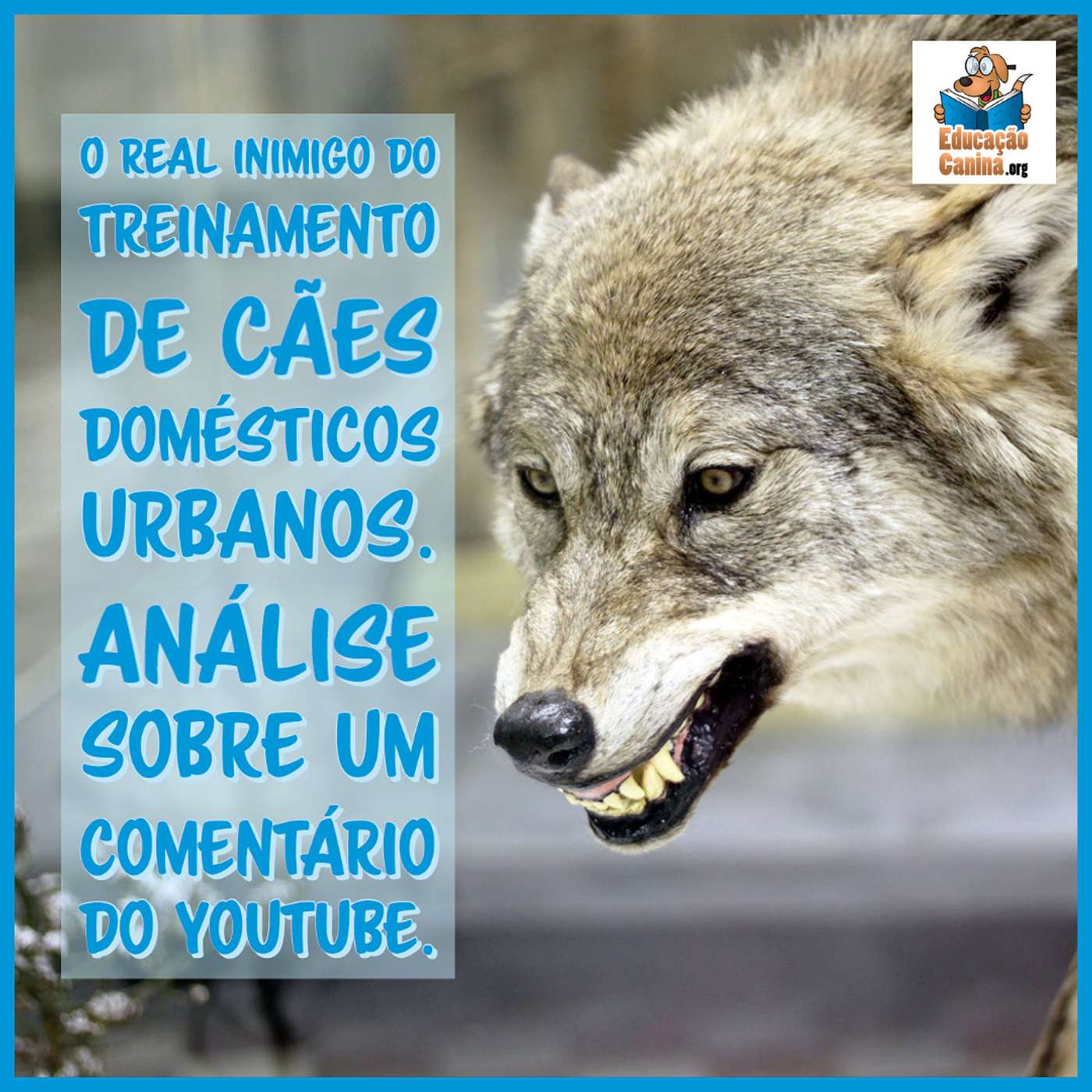 O real inimigo do treinamento de cães domésticos urbanos. Análise sobre um comentário do YouTube. episode artwork