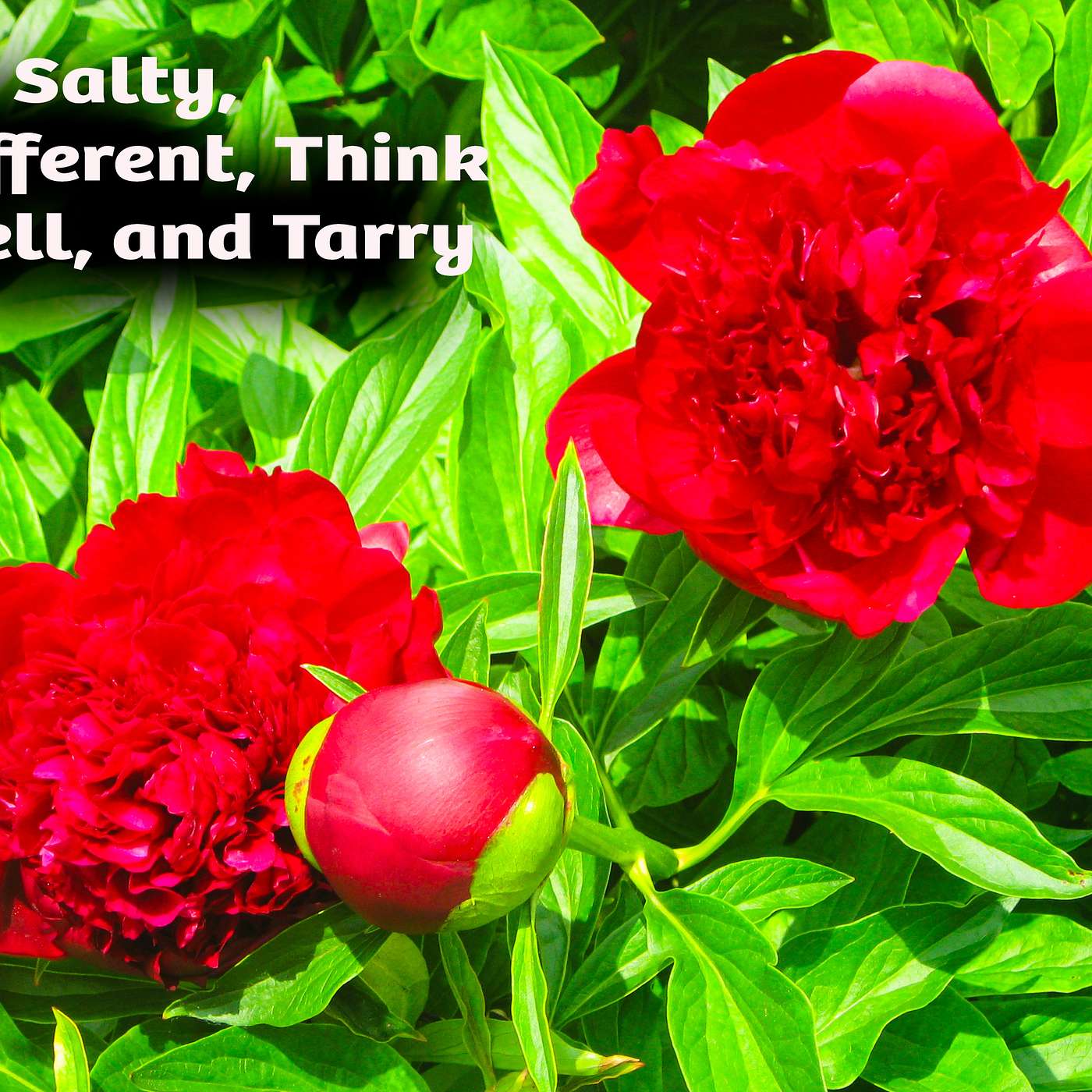 Be Salty – The Power of Standing Out