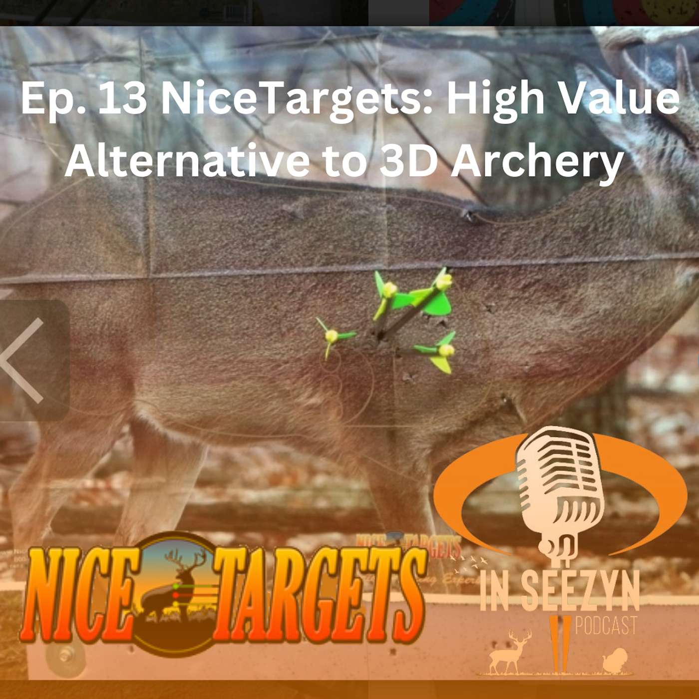 Ep 13: NiceTargets, a High Value Alternative to 3D Targets