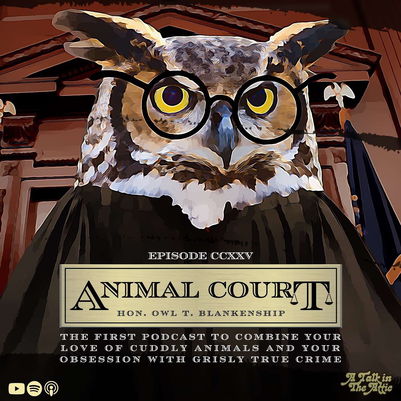 animal court