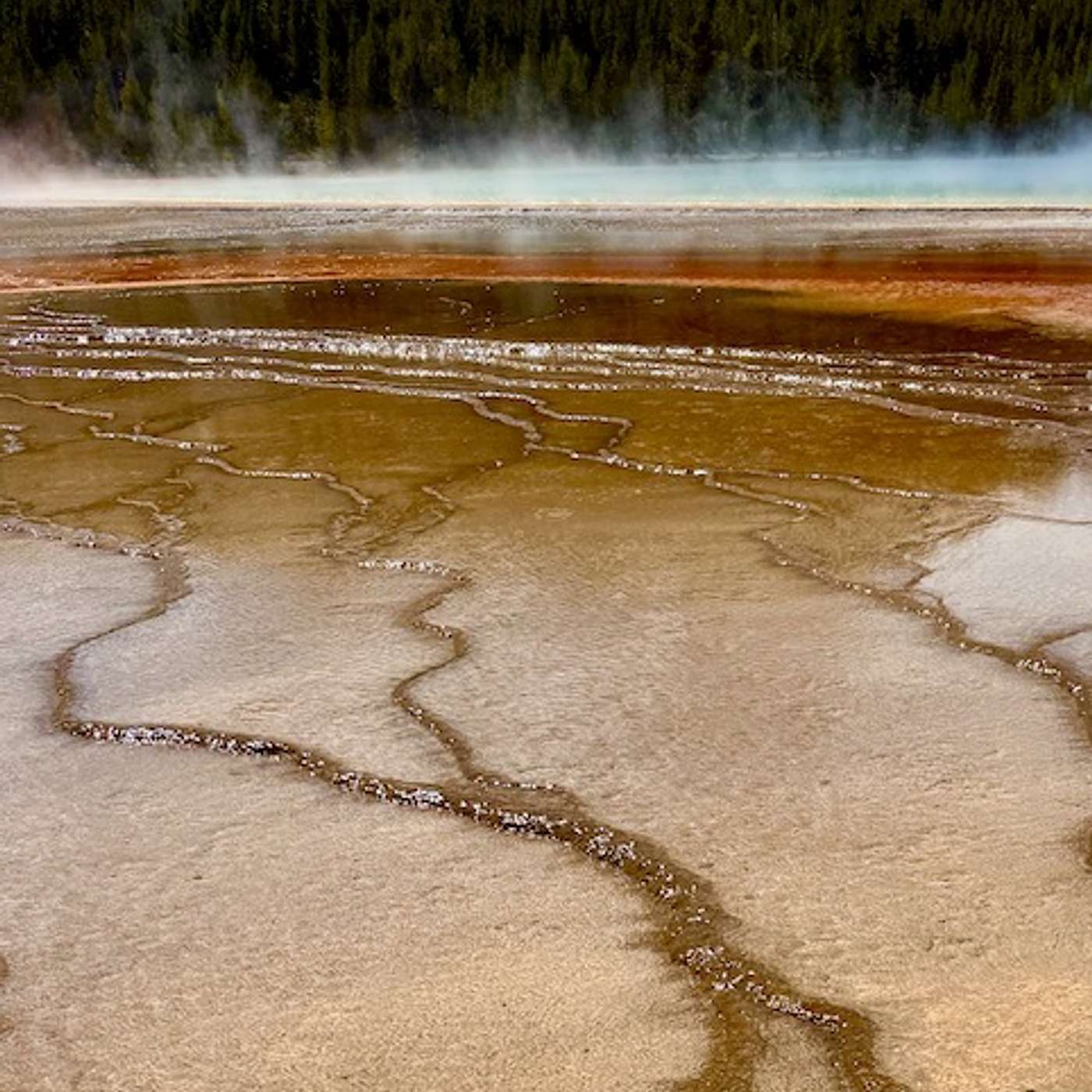 Westminster Talking the Text