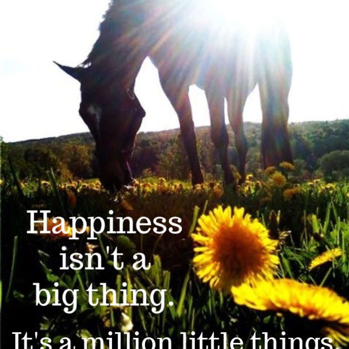 Are You Waiting for Happiness? episode artwork
