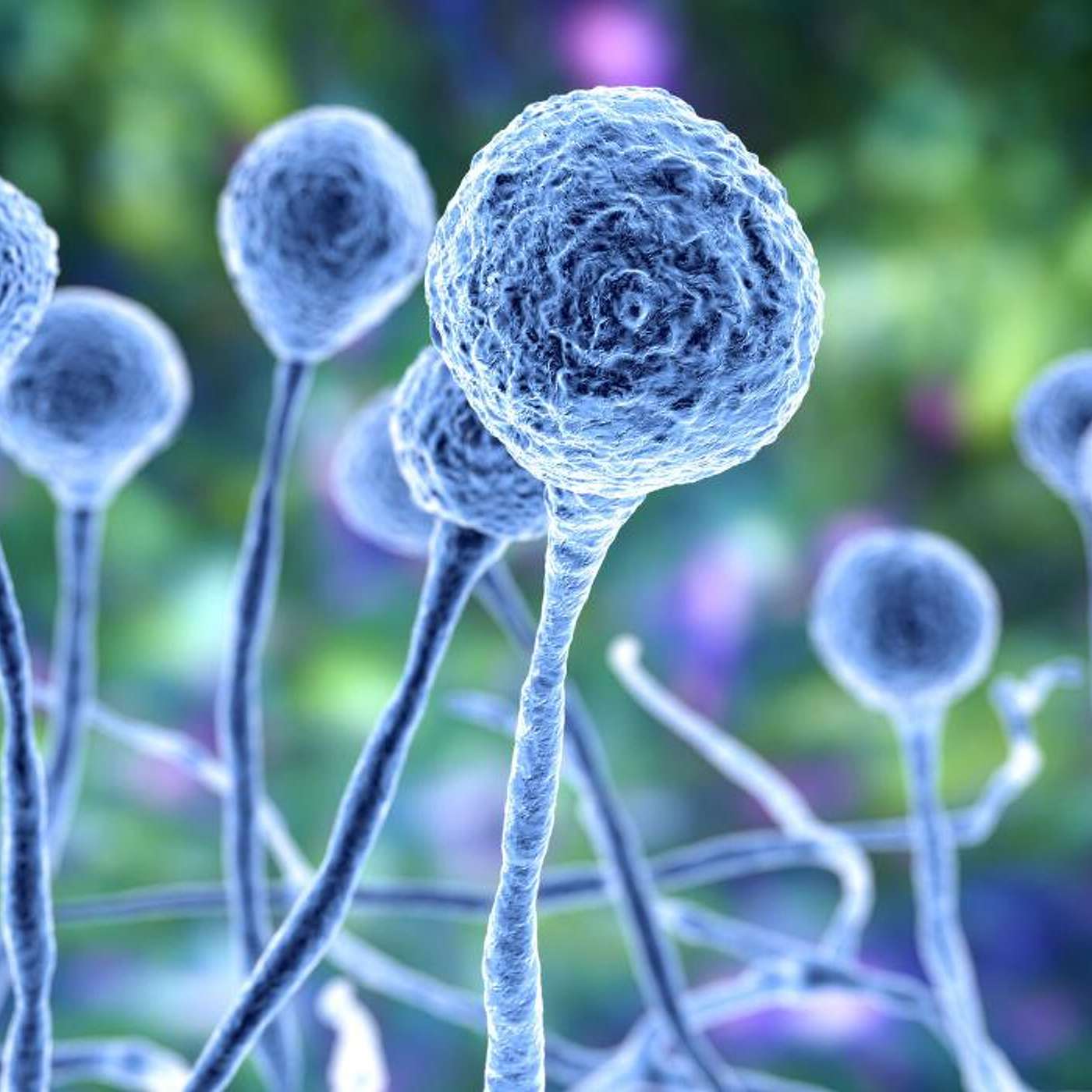 Conscious Living Conscious Dying 05 - Life - Your Soul Chooses Your Life's Major Themes