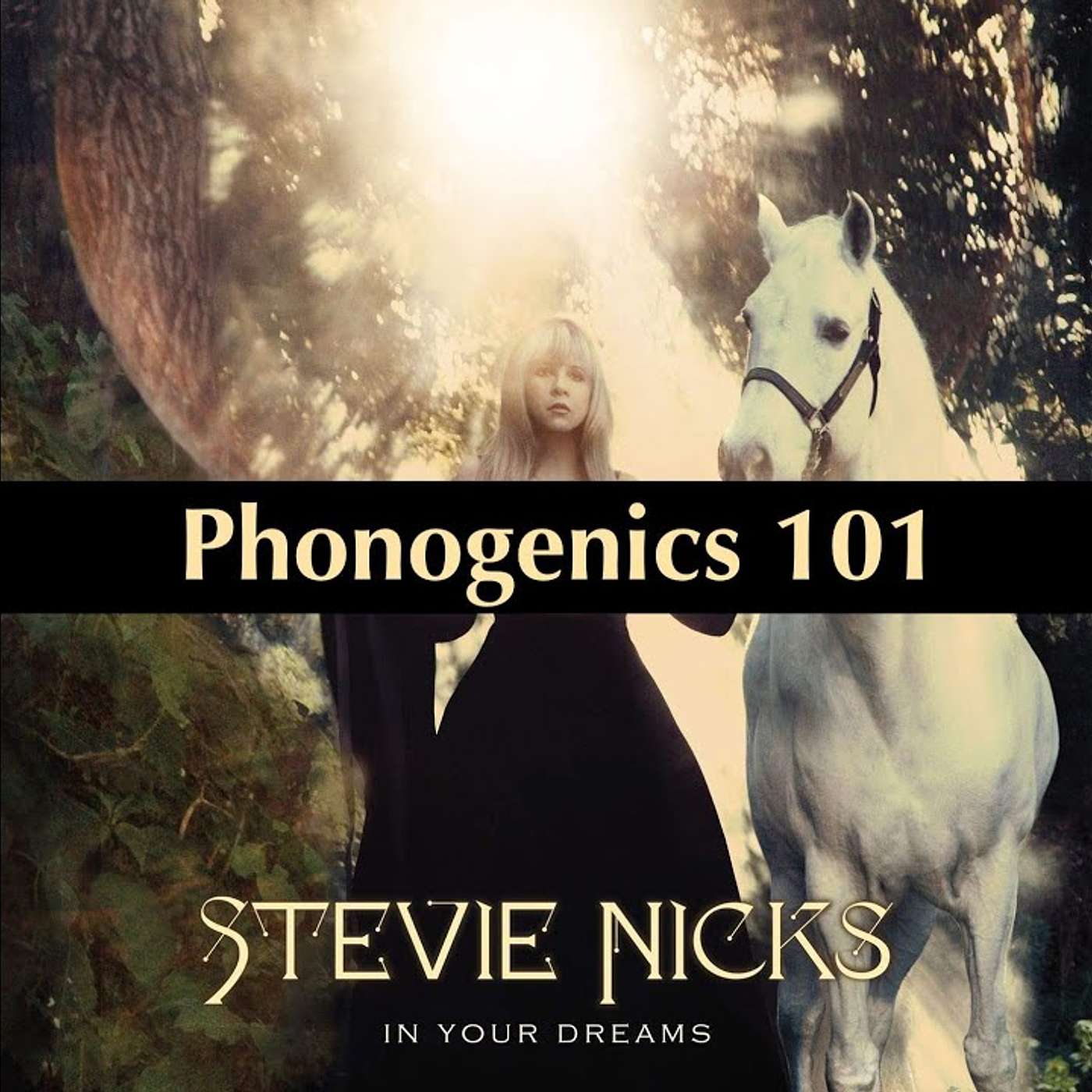 Phonogenics 101: Discussing Albums Track By Track