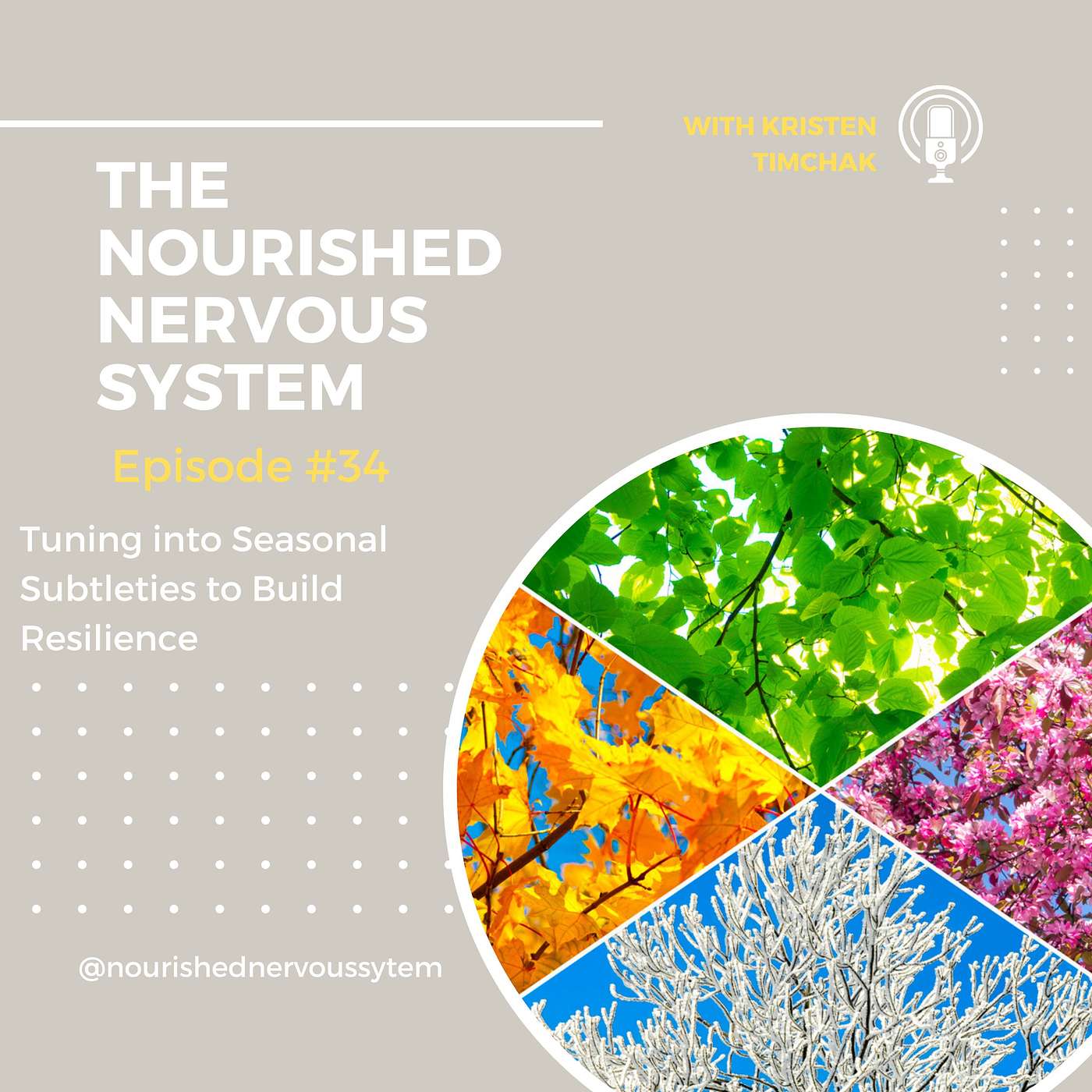 Tuning into Seasonal Subtleties to Build Resilience