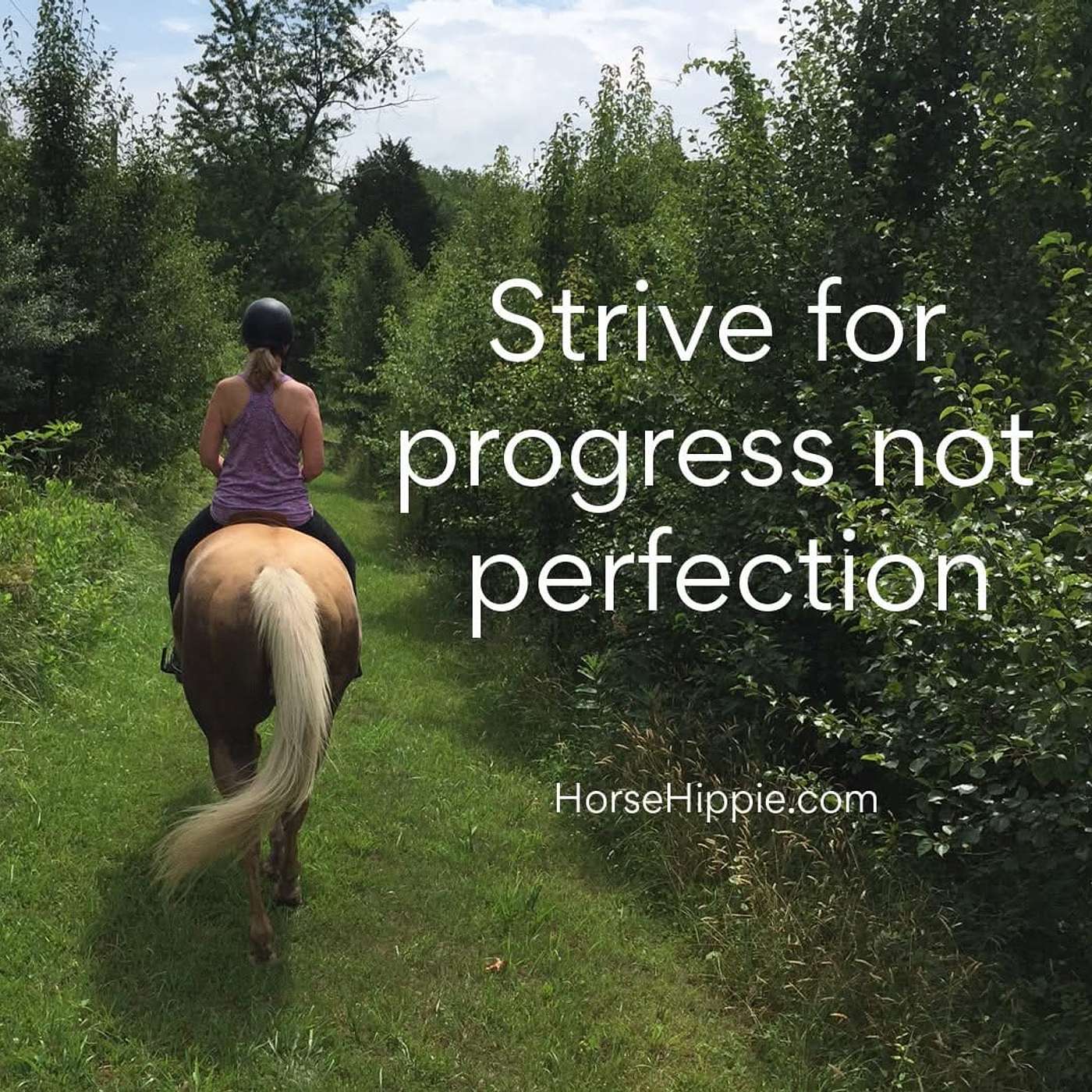 Progress towards your goal is the Goal