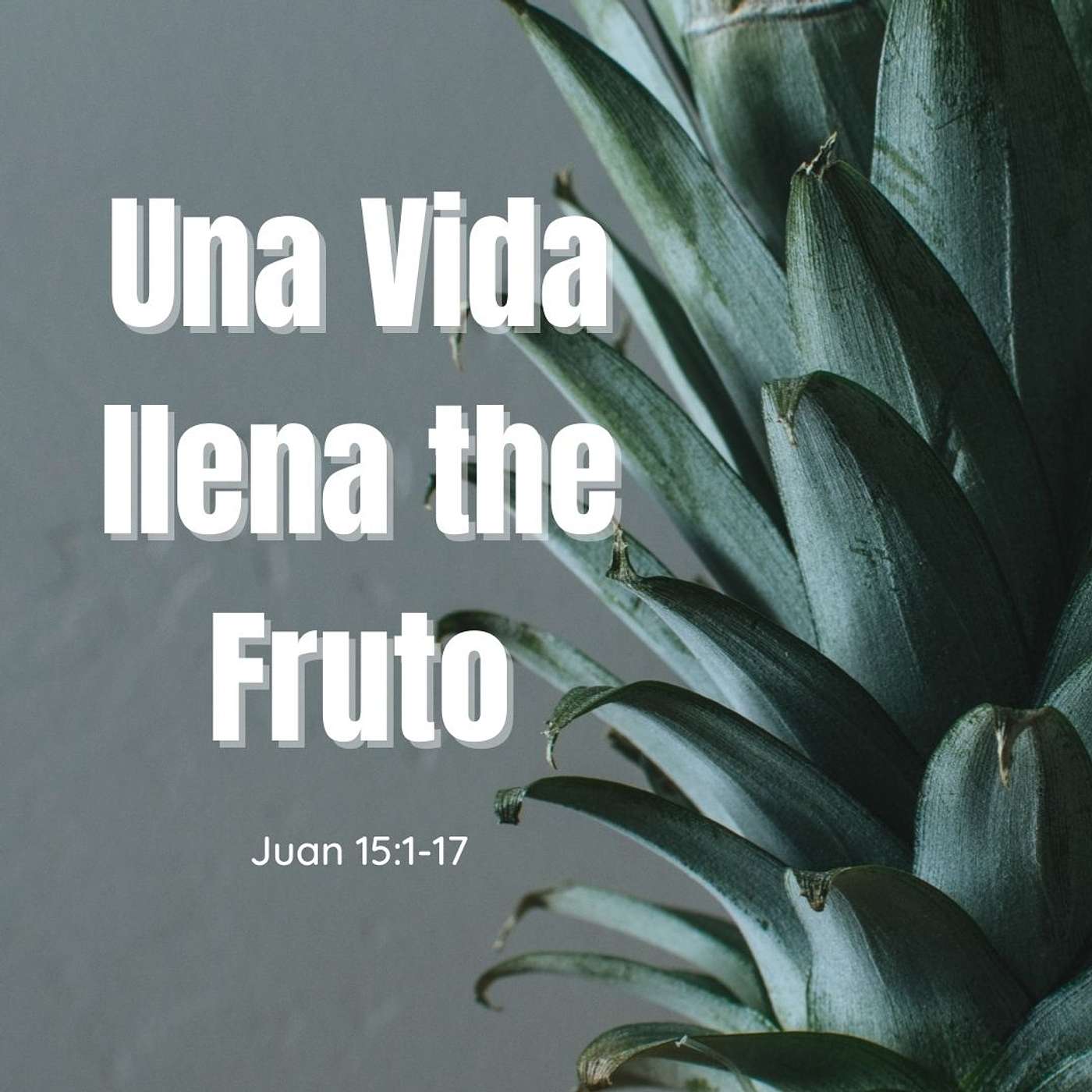 Una Vida Lleno de Fruto
