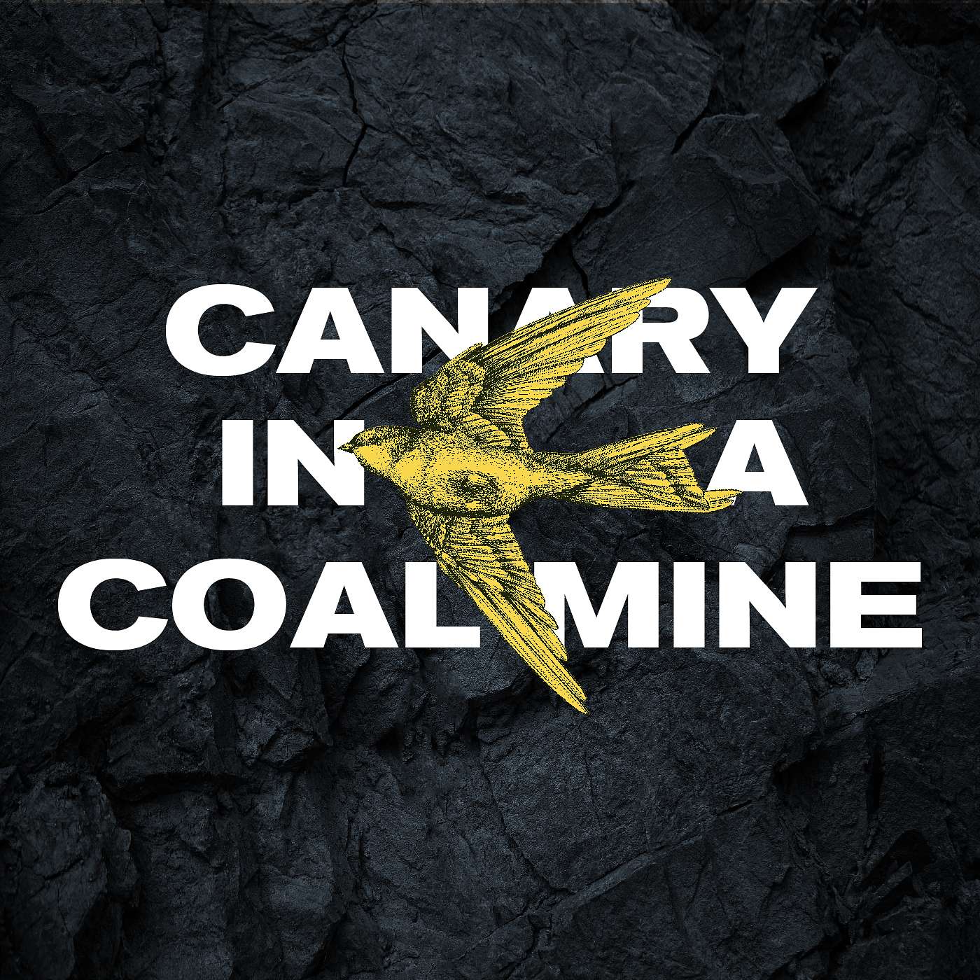 Canary in a Coal Mine | Week 1 // Adam Weber