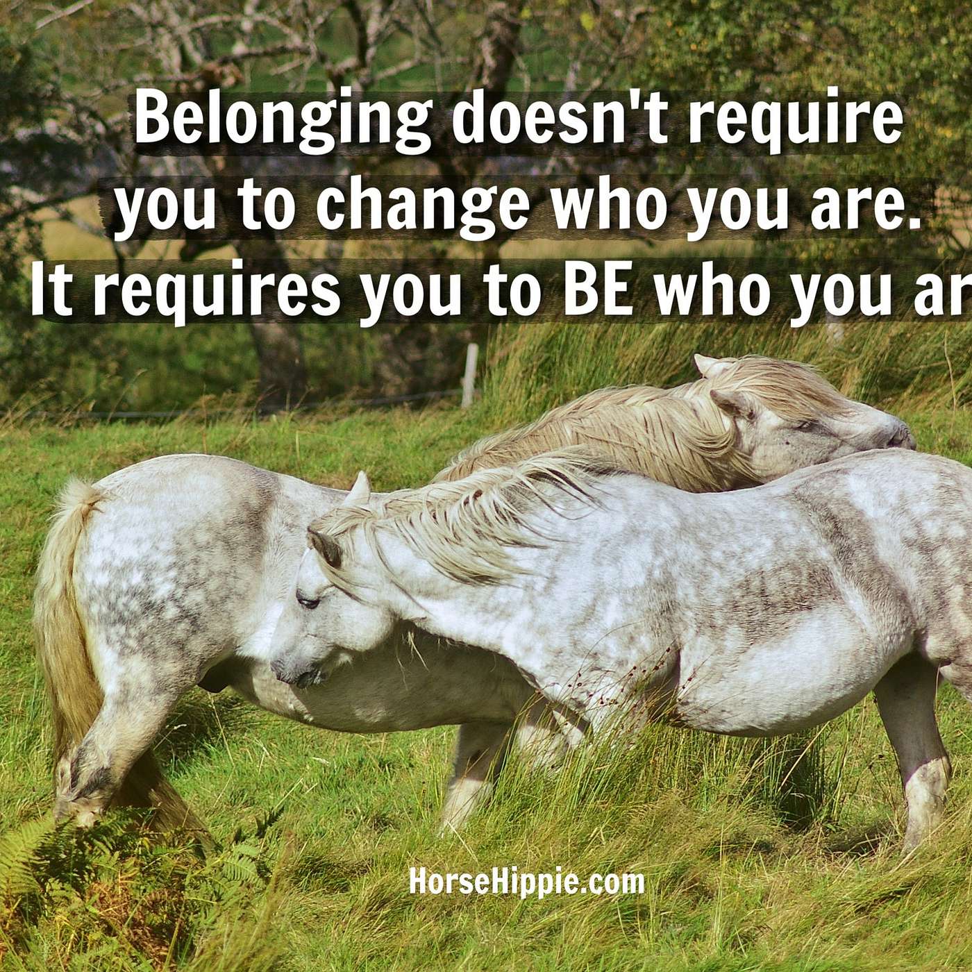 Belonging