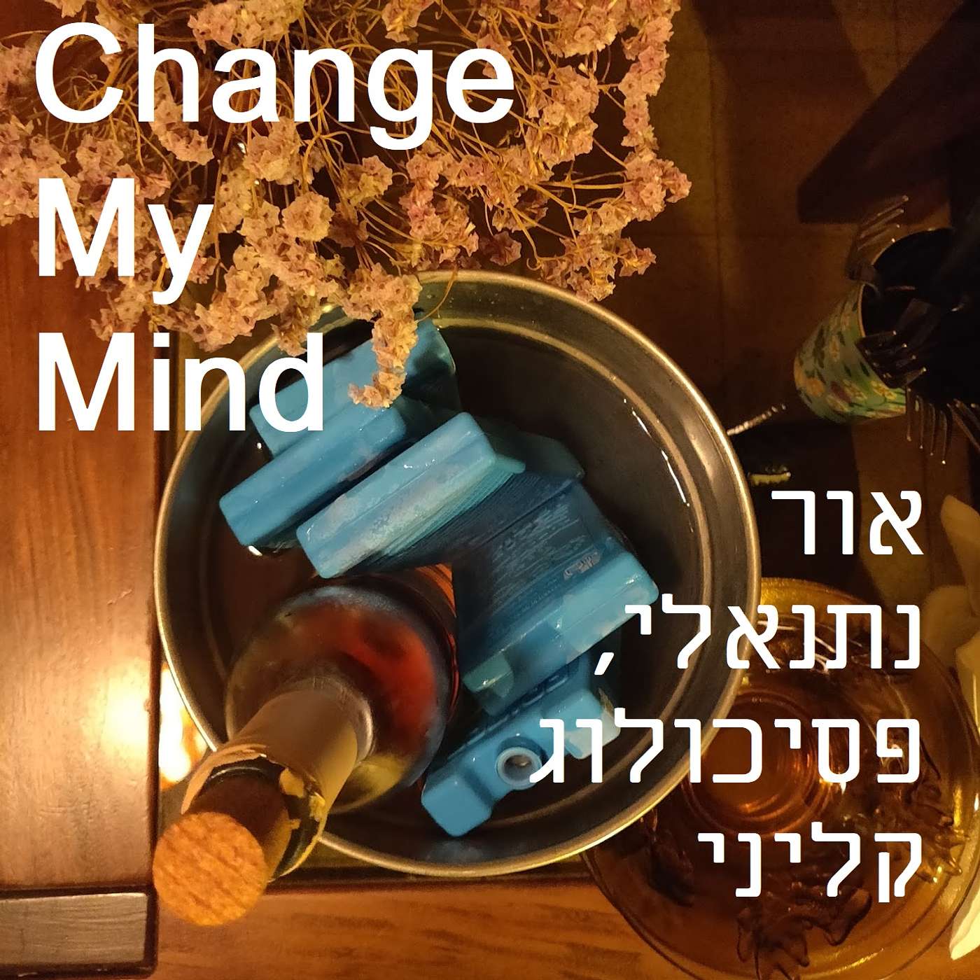 פרק #5: שיחה עם ליאת מנדל, על וויסות גופני הדדי דרך זום