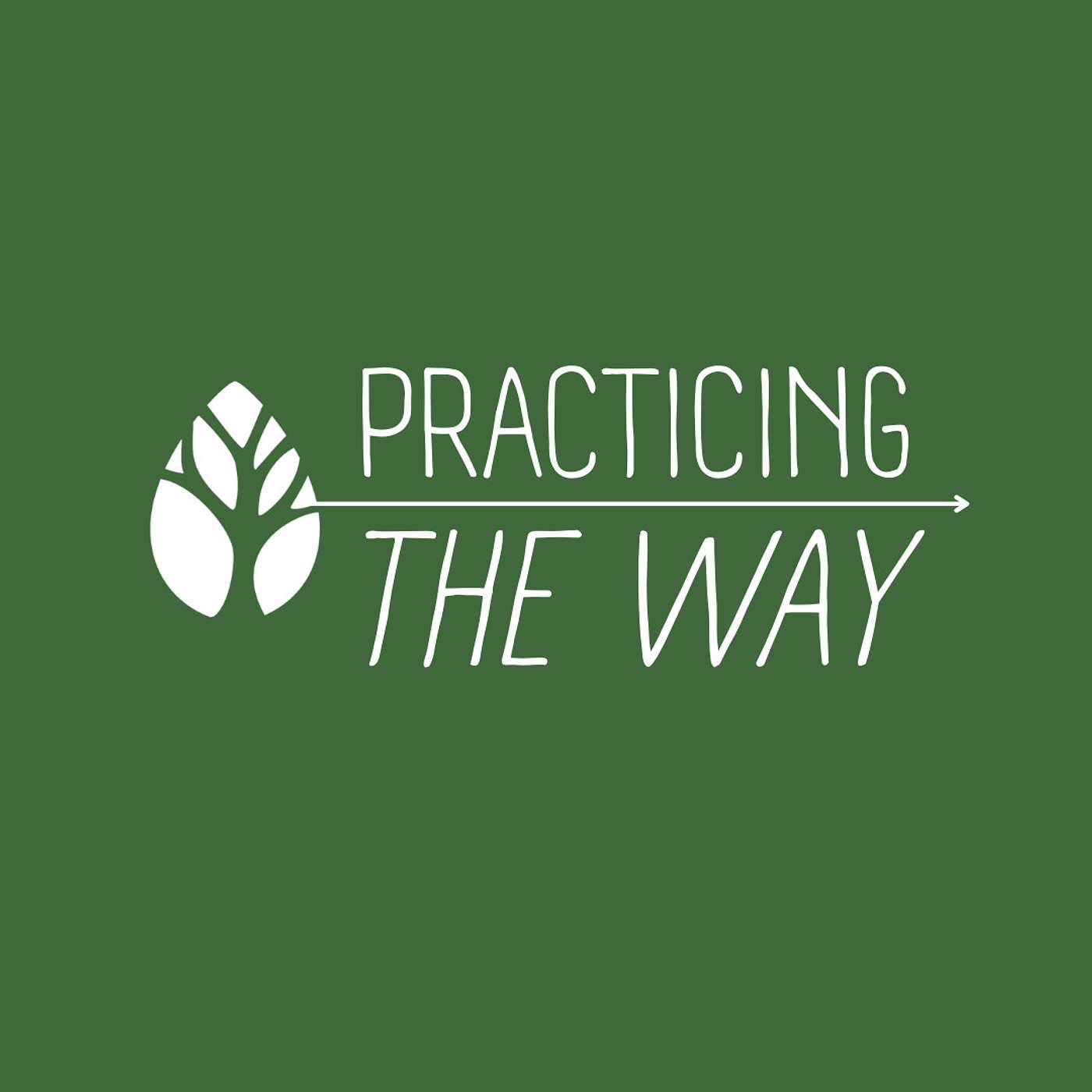 Practicing the Way: WHO episode artwork