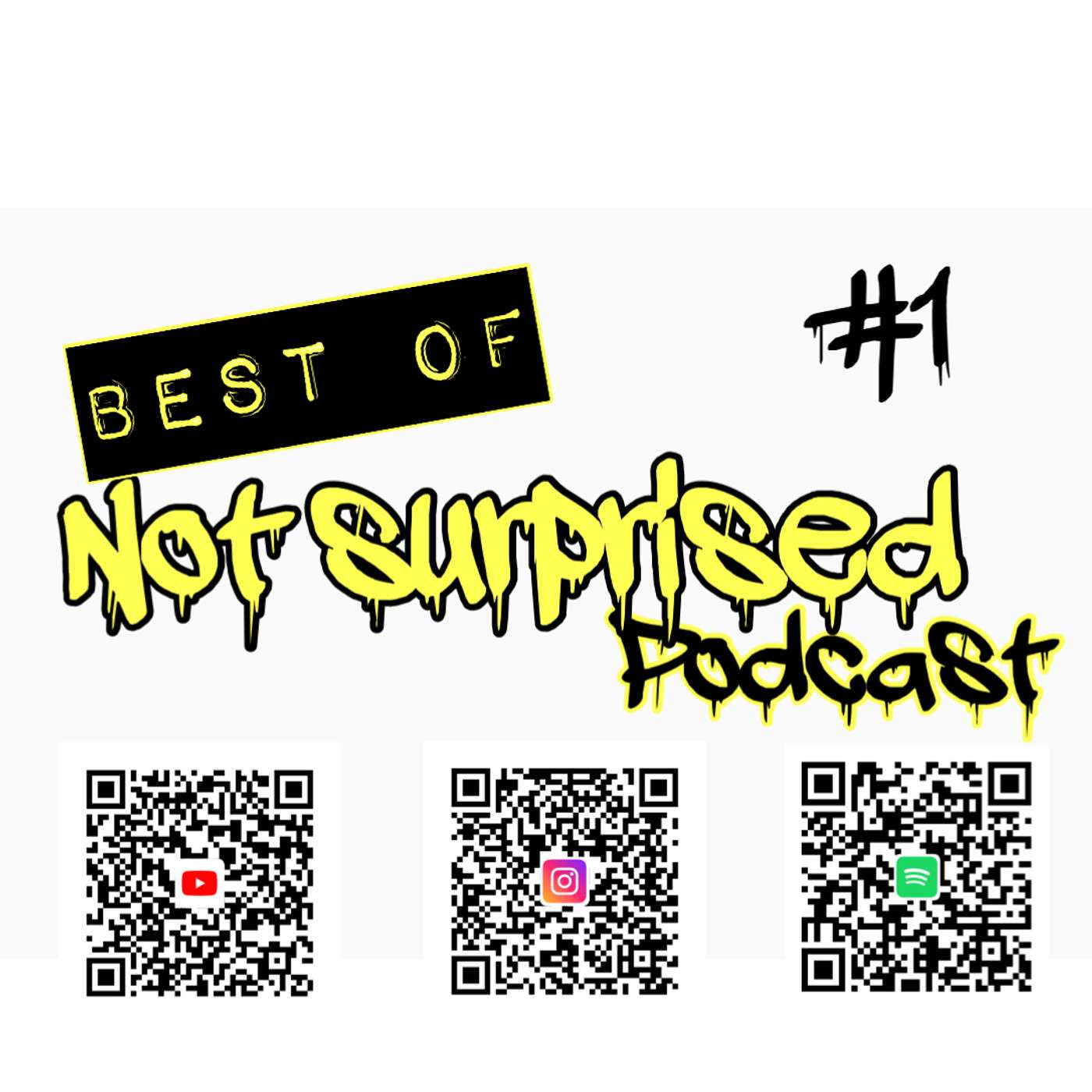 THE BEST OF SHOW #1