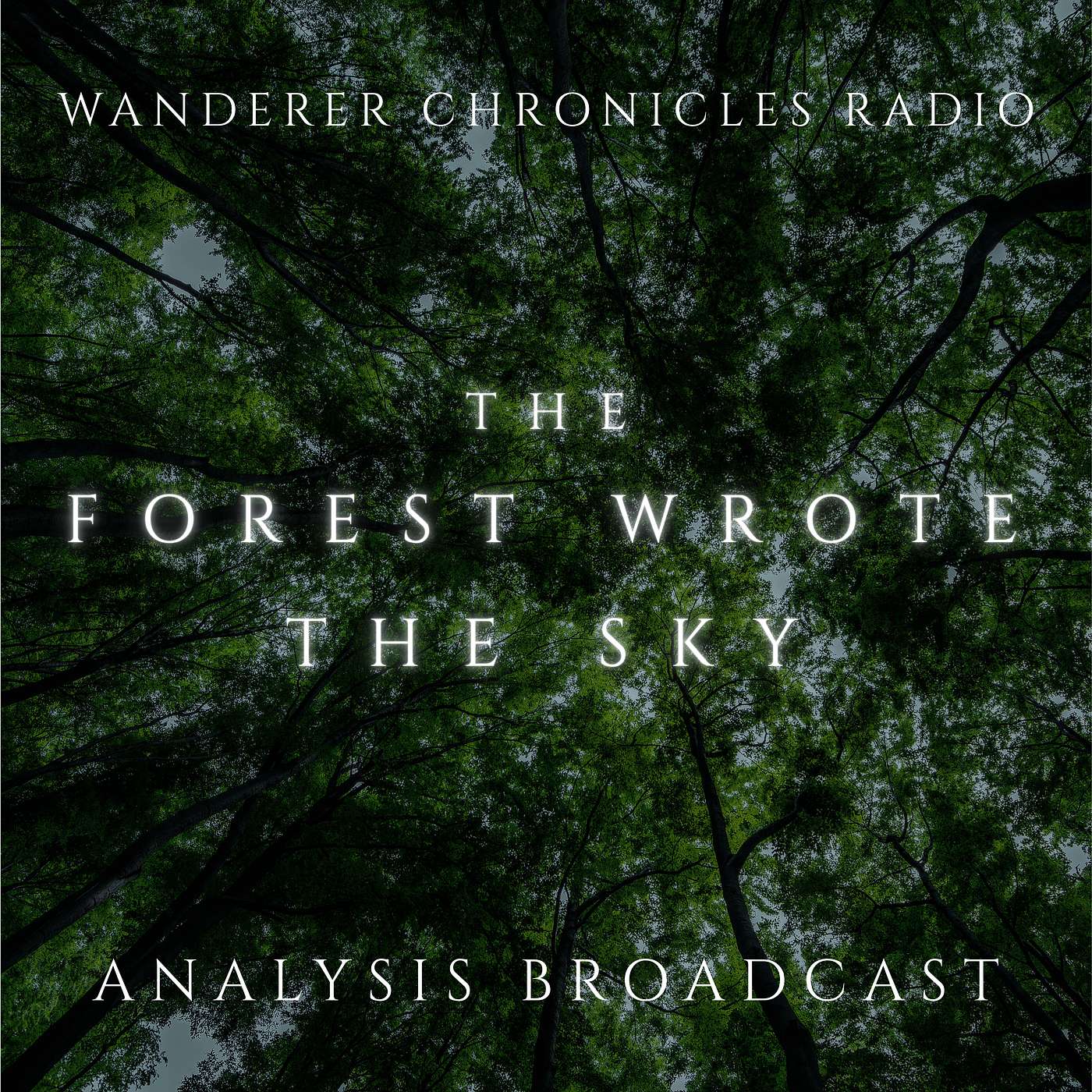 THE FOREST WROTE THE SKY - ANALYSIS BROADCAST | Sci-Fi Audio Podcast | WANDERER CHRONICLES RADIO