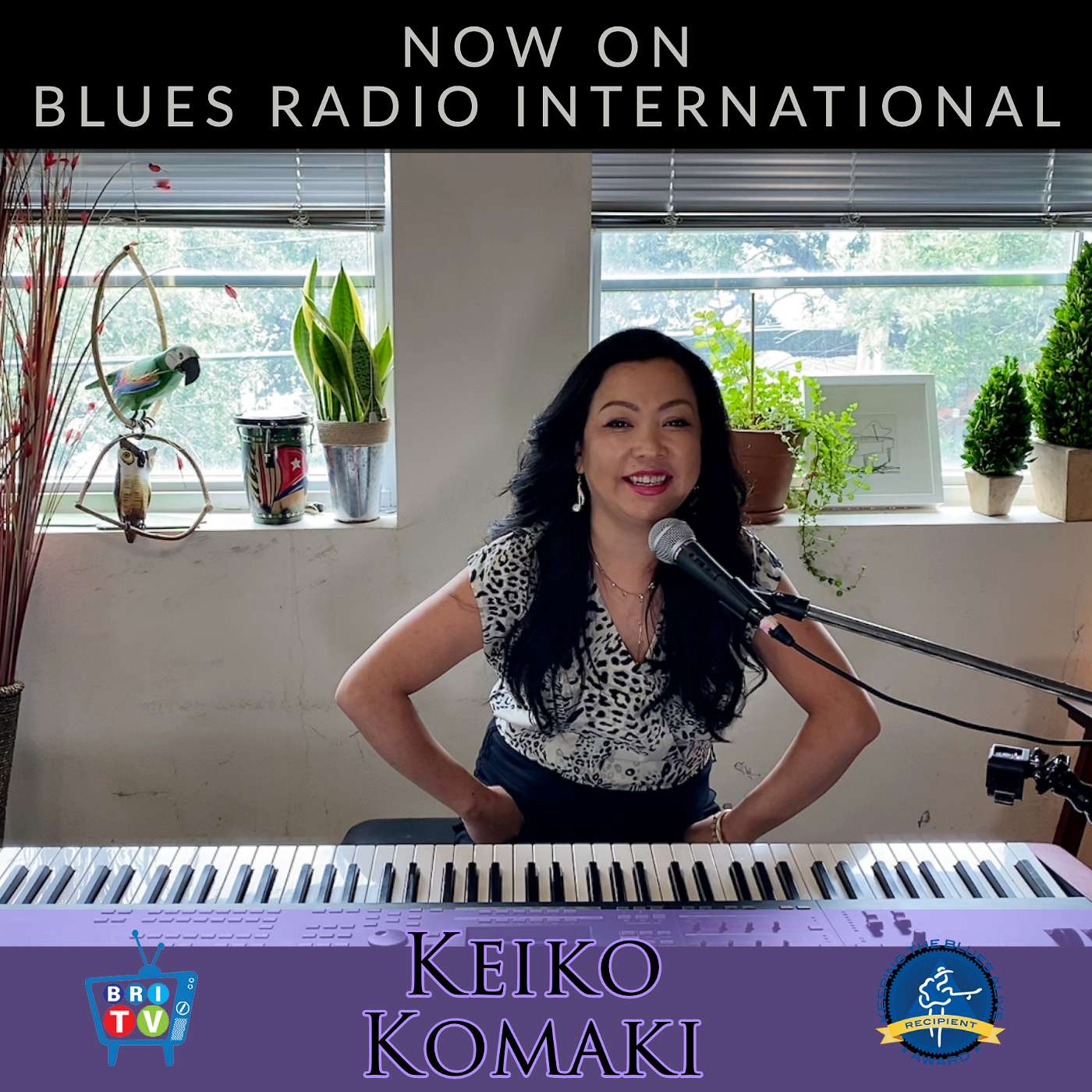 Blues Radio International Podcast