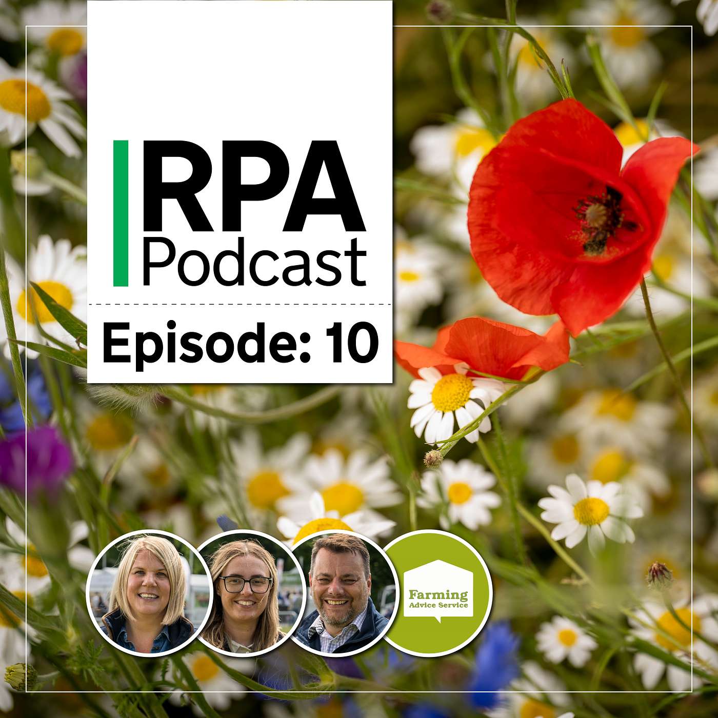 The RPA Podcast - Episode 10