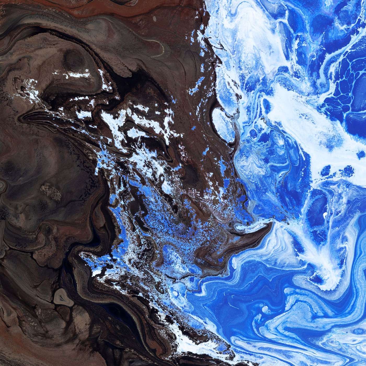 The Future of Our Oceans episode artwork