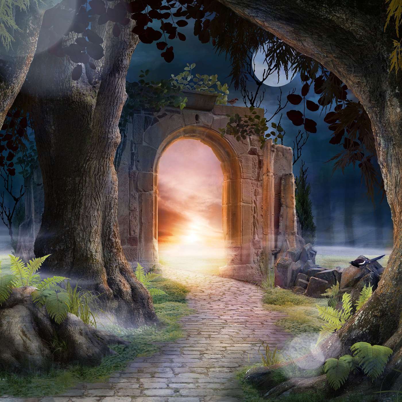 Reflecting Divine Light in a Dark, Secular World episode artwork