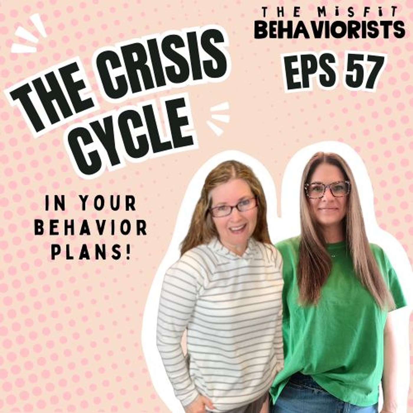 The Misfit Behaviorists - Practical Strategies for Special Education and ABA Professionals
