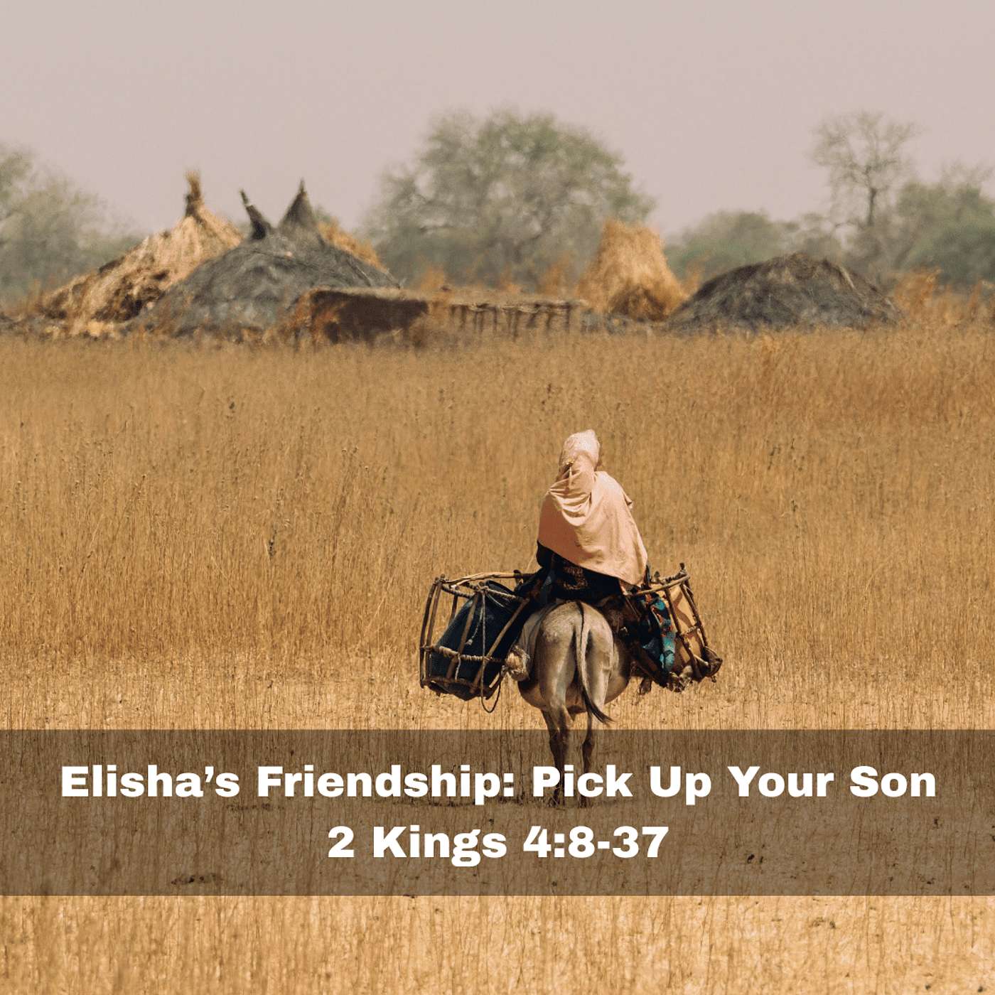 "Elisha's Friendship: Pick Up Your Son" 2 Kings 4:8-37