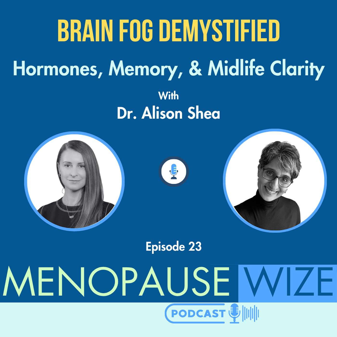 MenopauseWize: Navigating Through Menopause with Knowledge and Wisdom