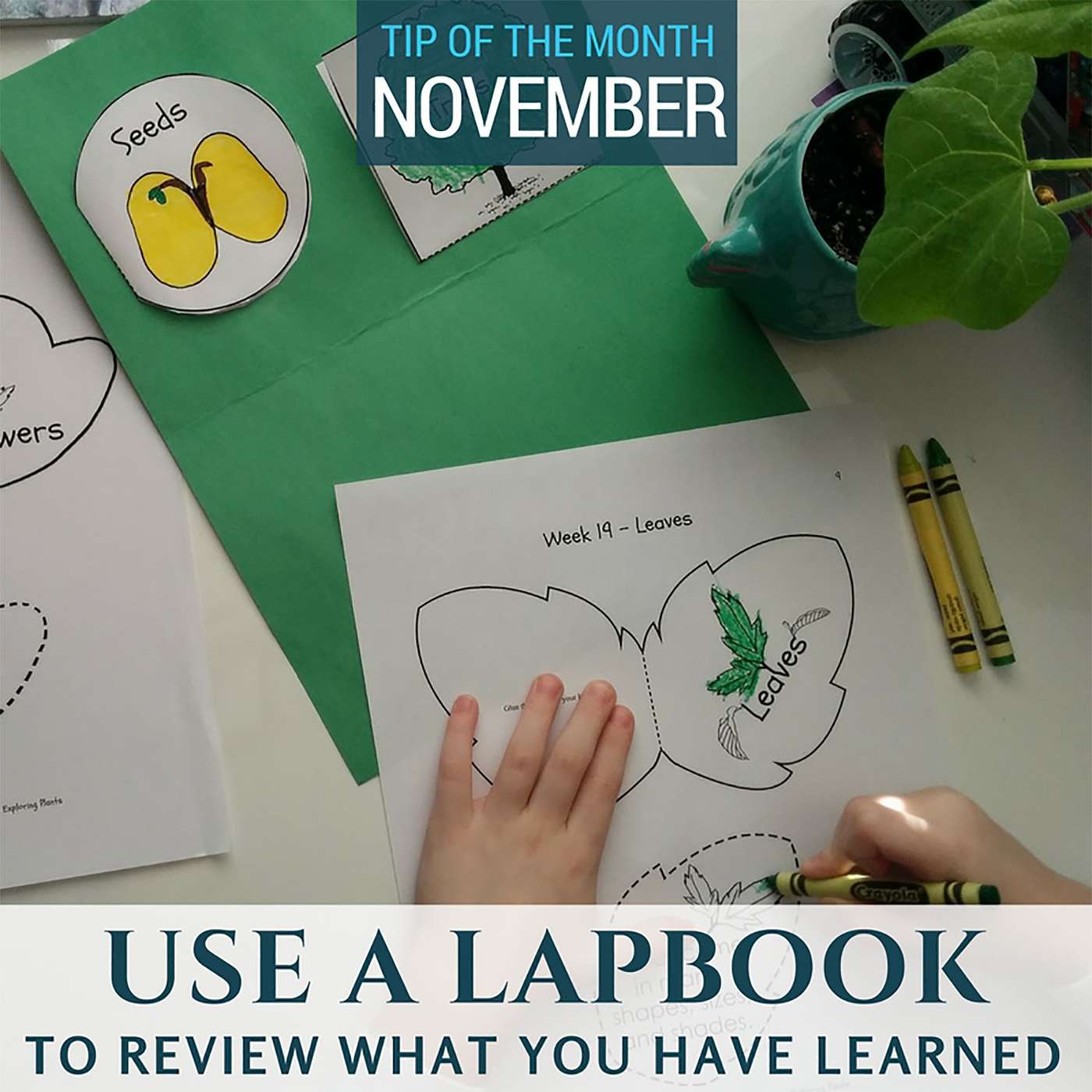 Use Lapbooks {Homeschool Science Tip of the Month November 2017}