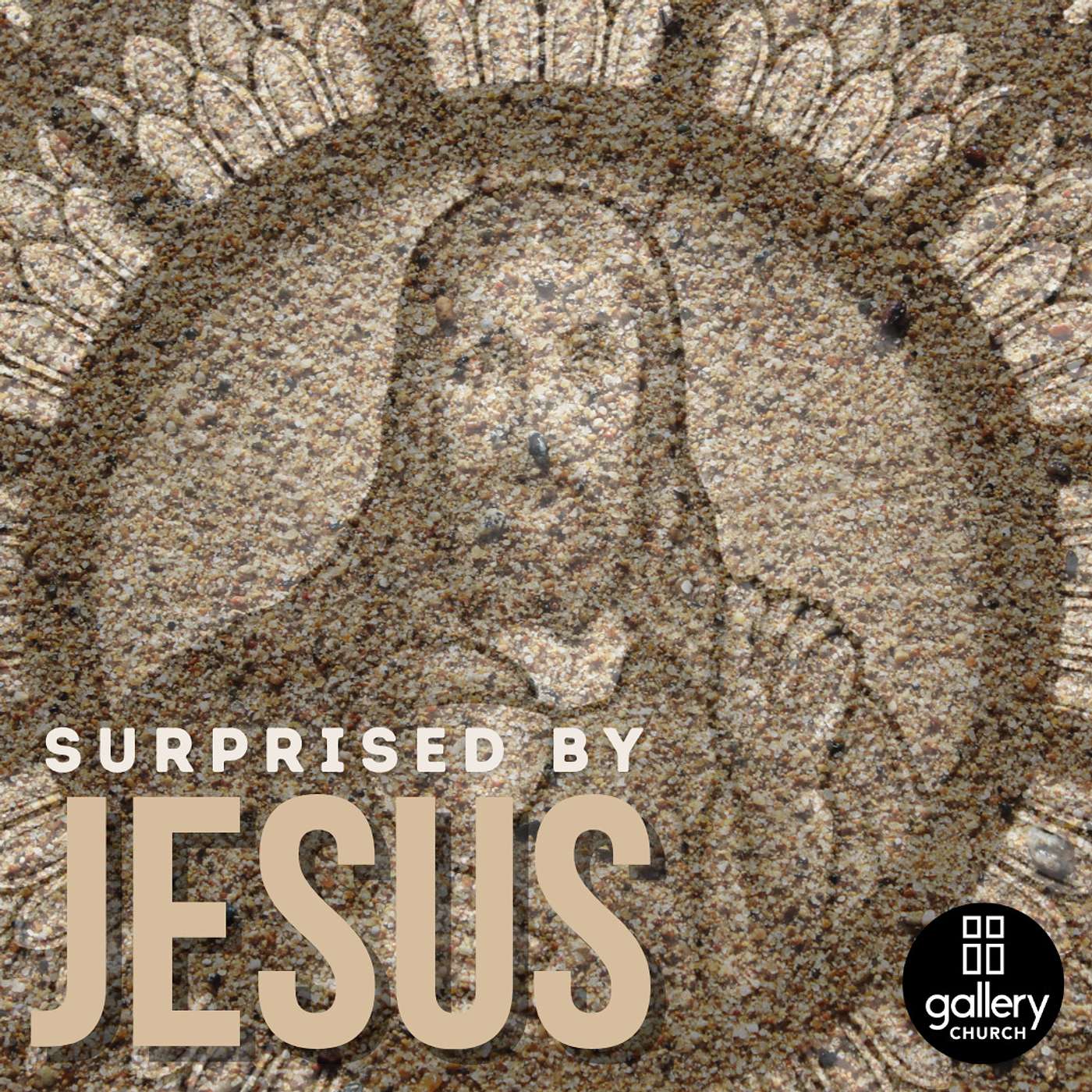 Surprised by Jesus: Life Changing Detours