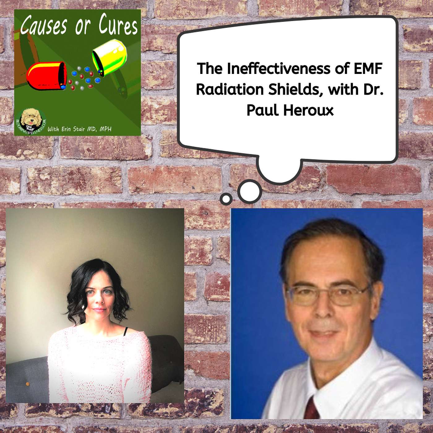 Why EMF Shields for Wireless Tech Do Not Work: An Interview with Dr. Paul Heroux