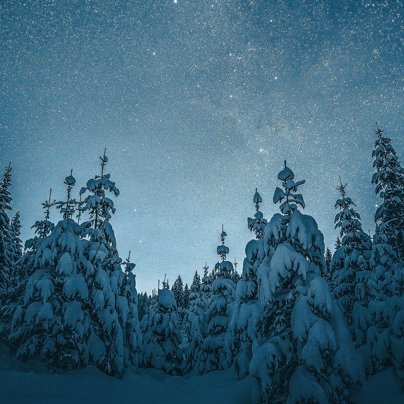 Anskaffelsespodden episode 67: Julespesial 2025