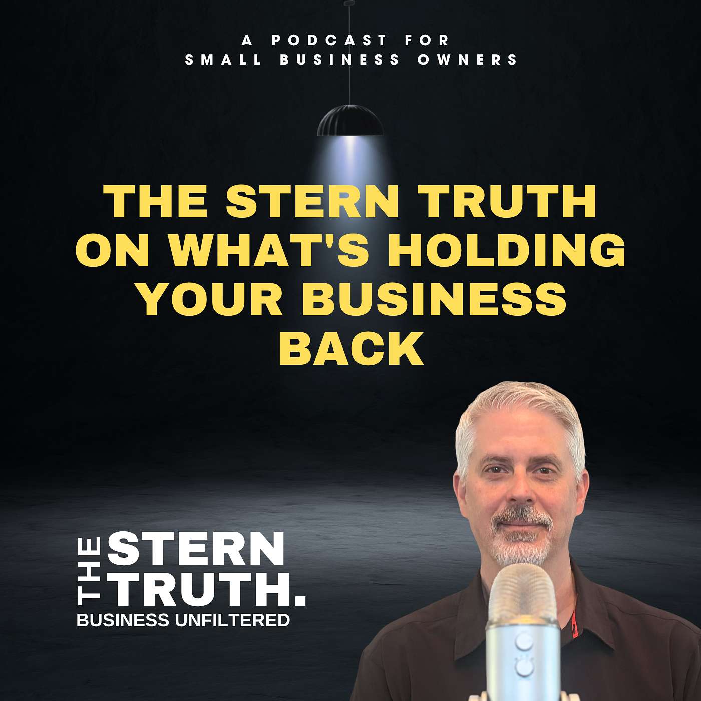 Ep. 82 The Stern Truth on What's Holding Your Business Back episode artwork